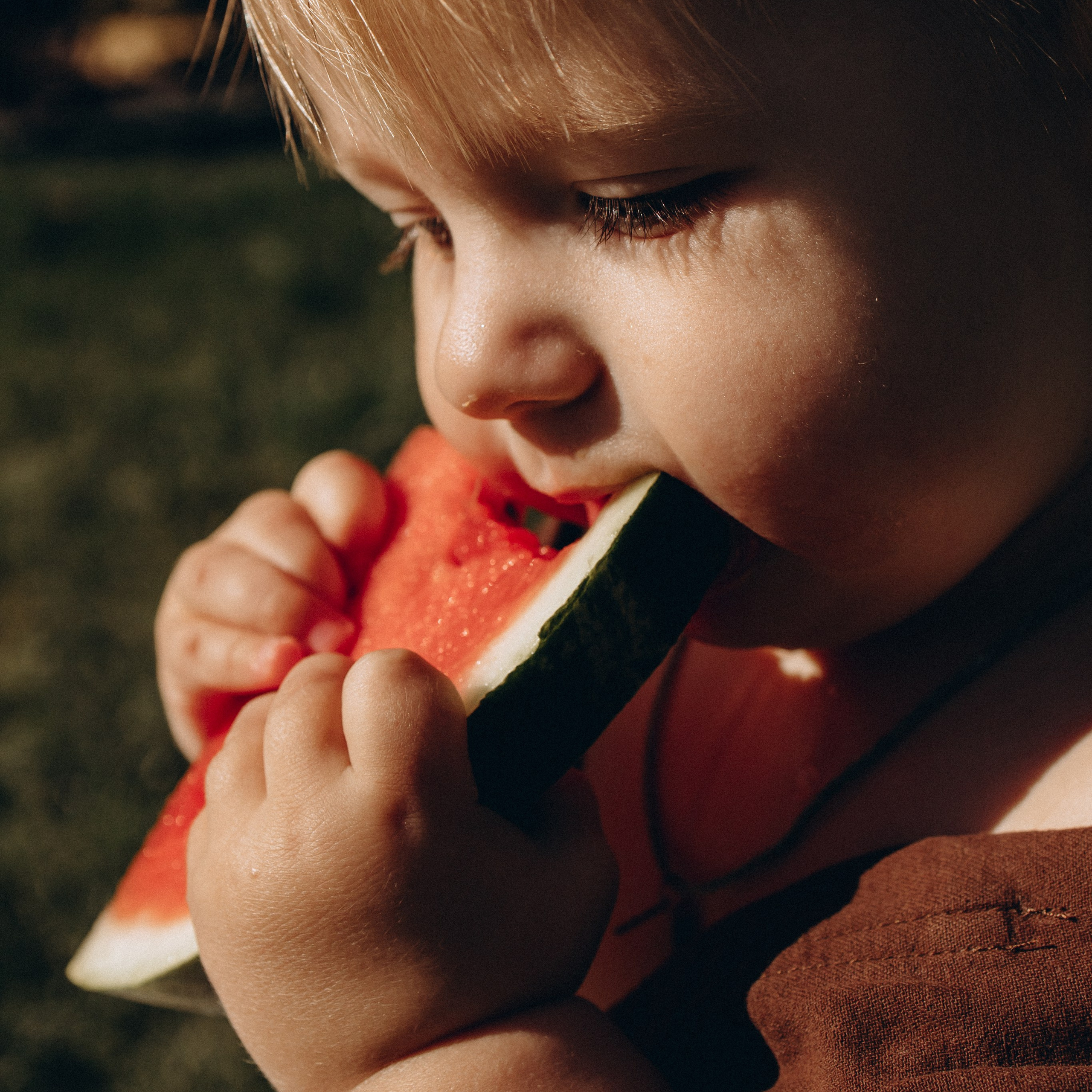 Дачные радости: от урожая до пузырей