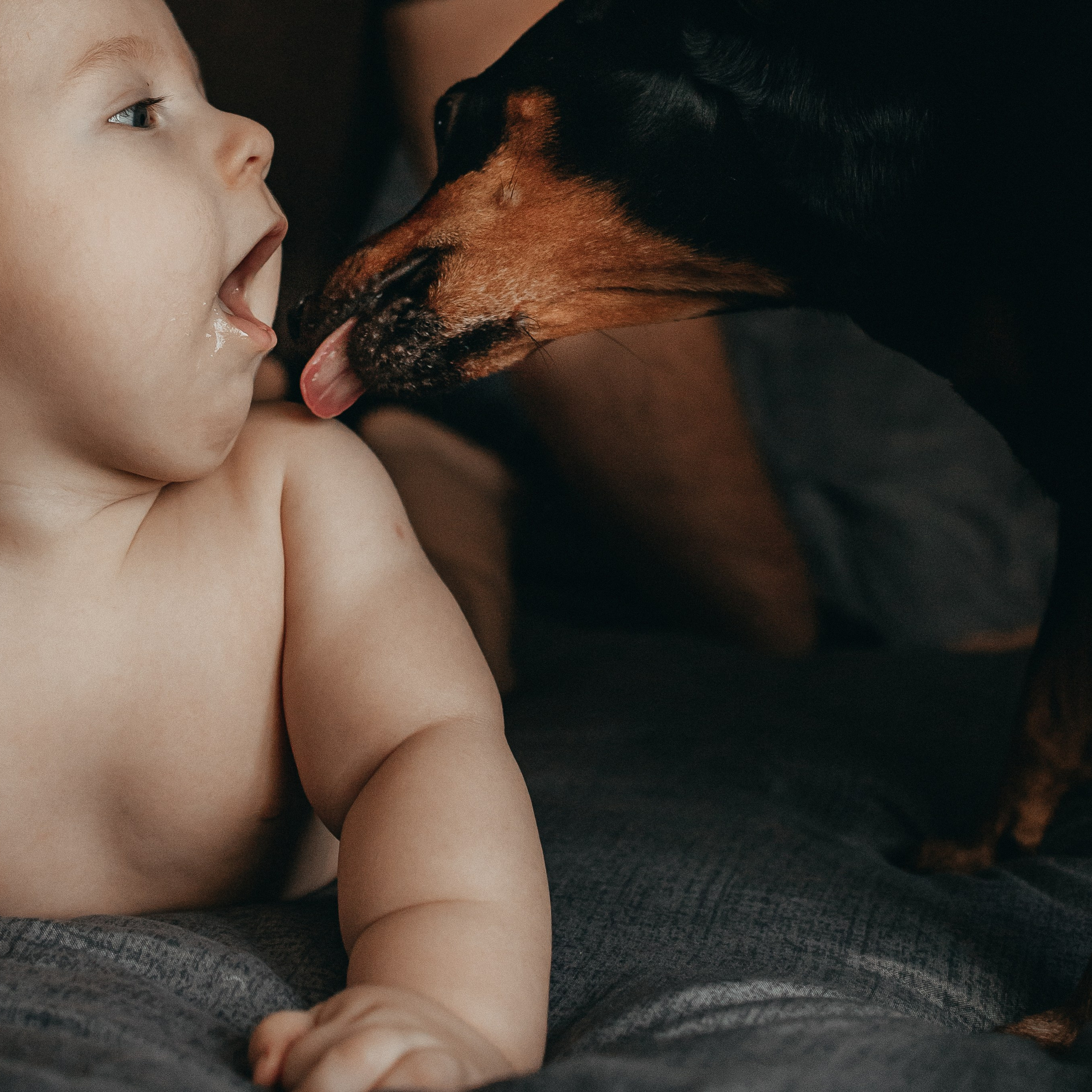 Домашняя фотоистория для Тани, Димы, Викули и Марка