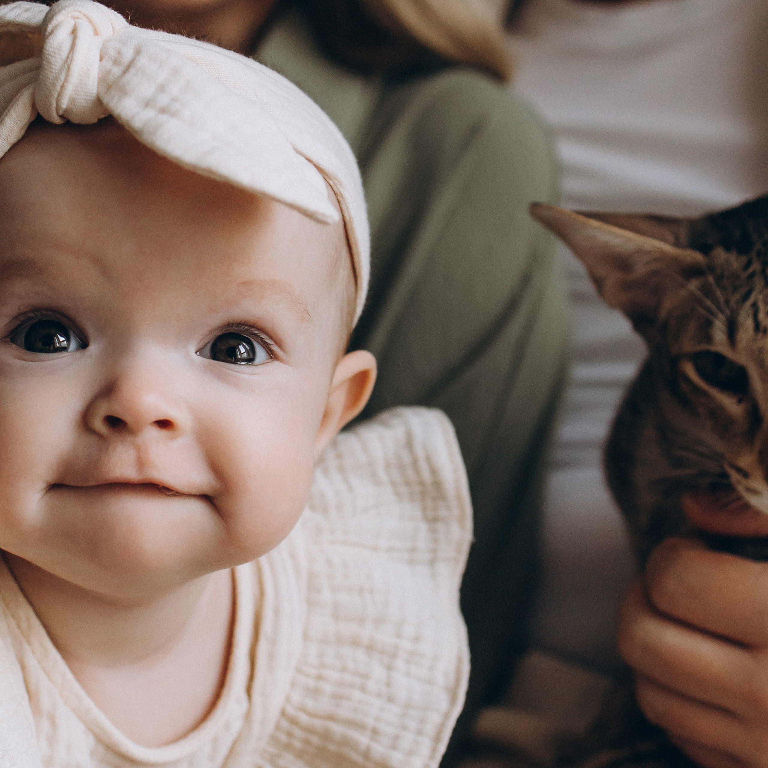 Уютная домашняя съемка с малышкой и котиком