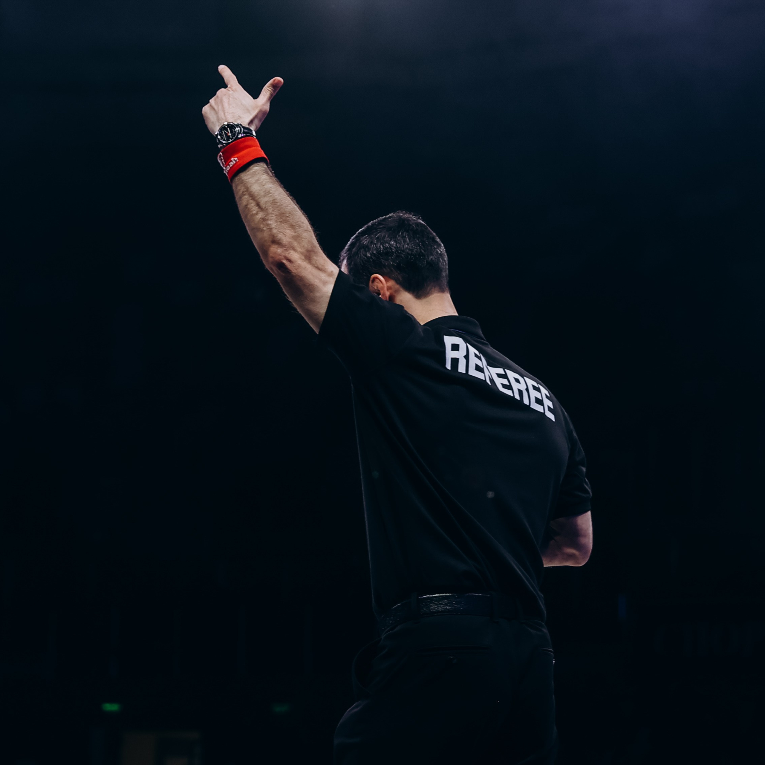 Турнир Вольник