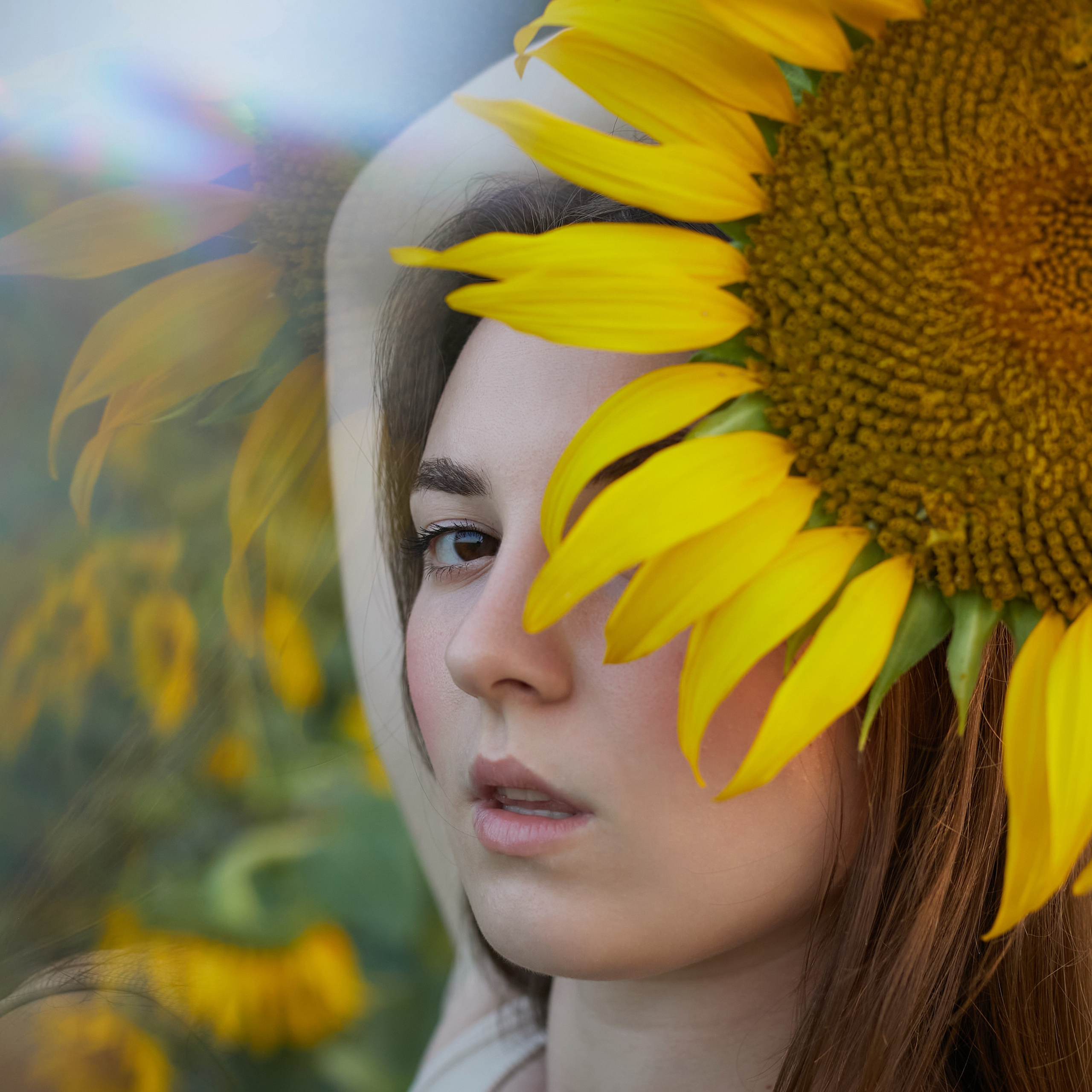 «В подсолнухах»