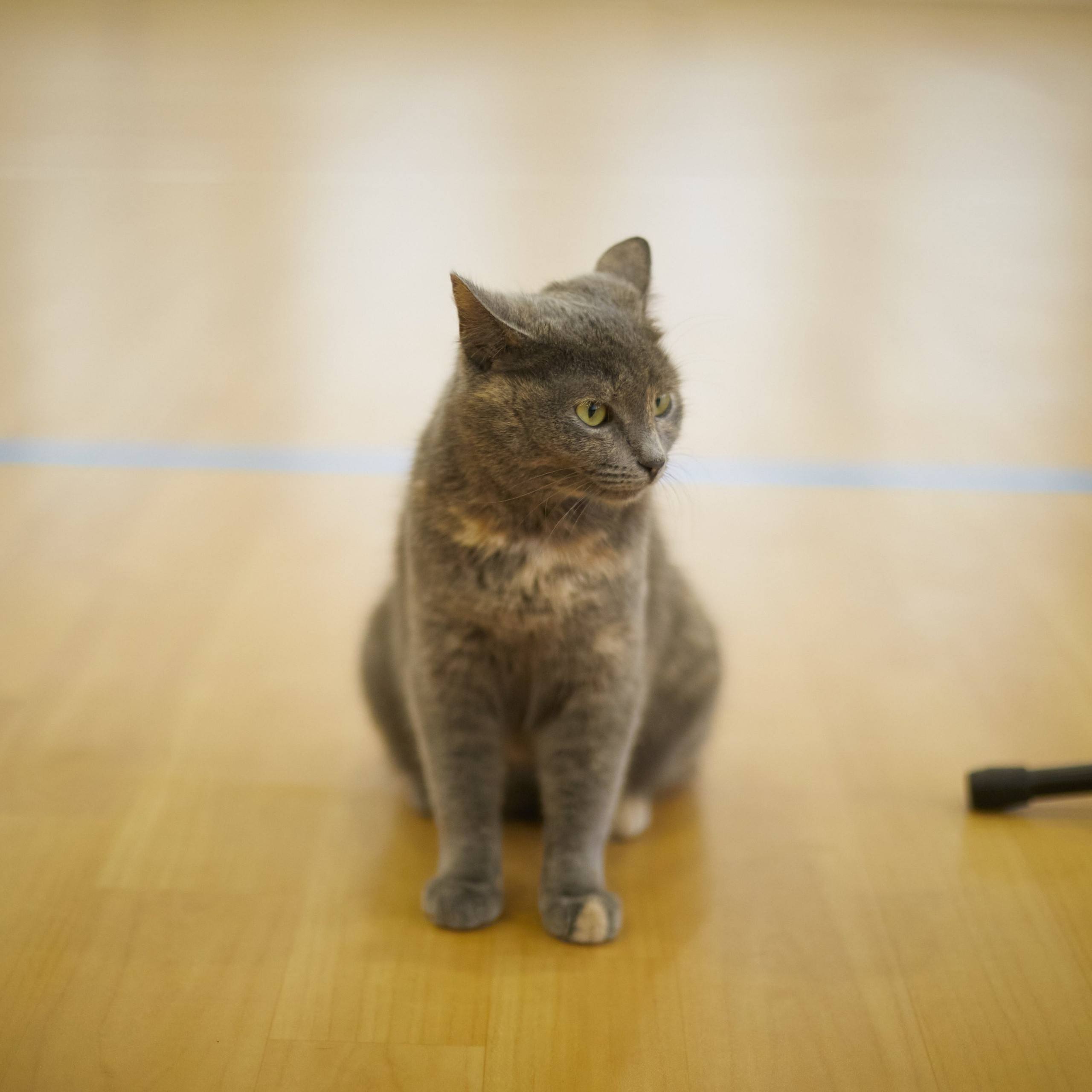 Отзывы. Свадебный и креативный фотограф в ЮФО и МСК