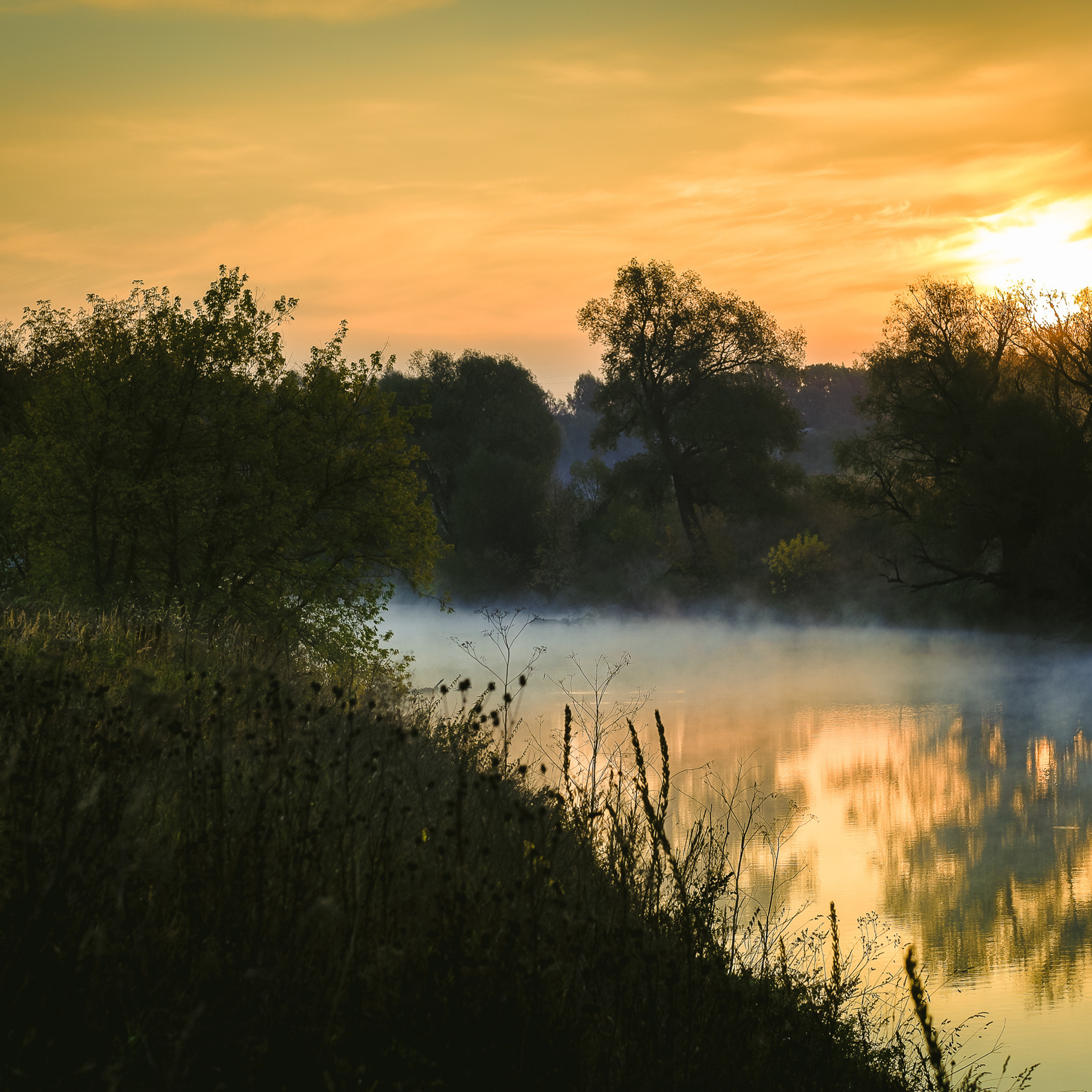 Природные явления
