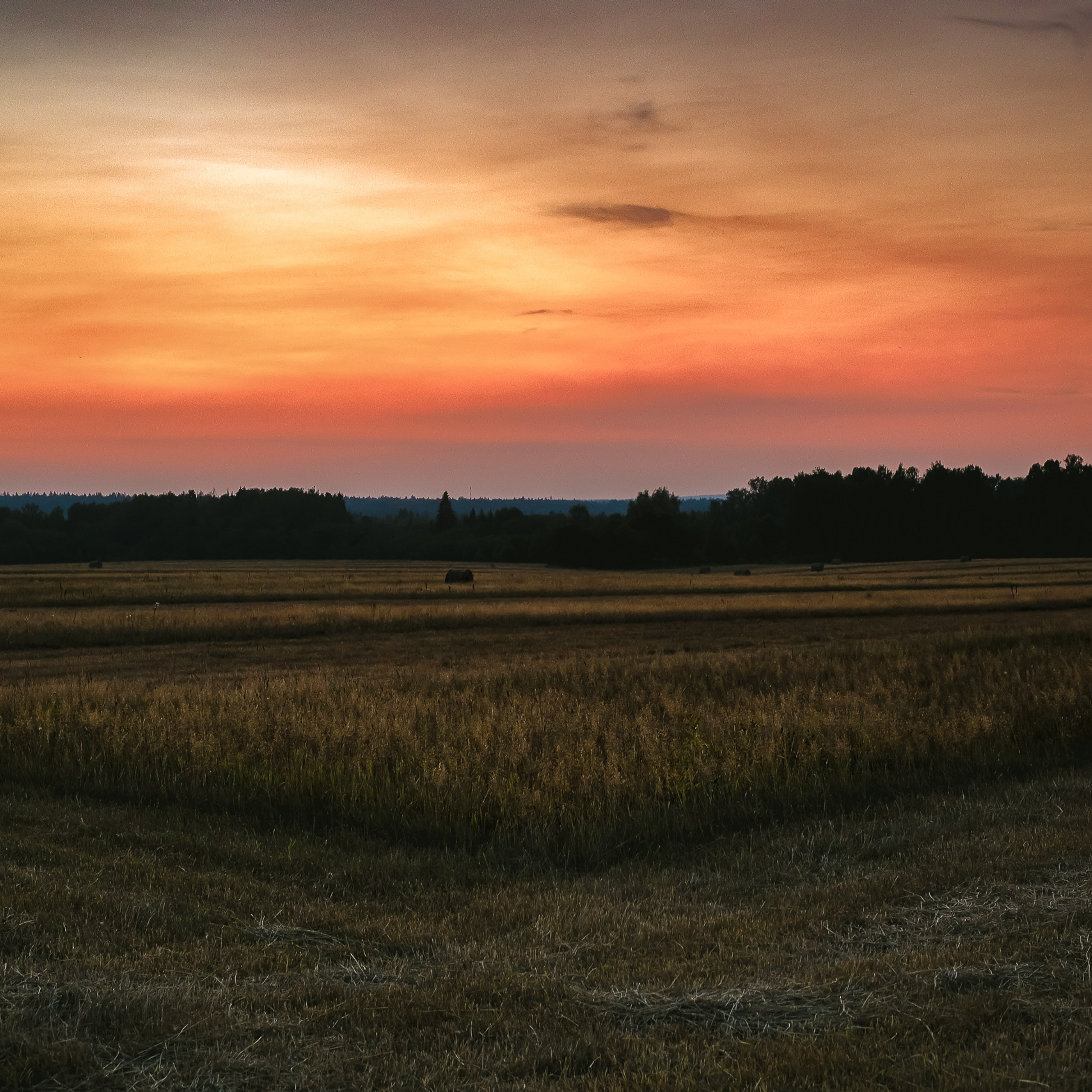 Природа вечером