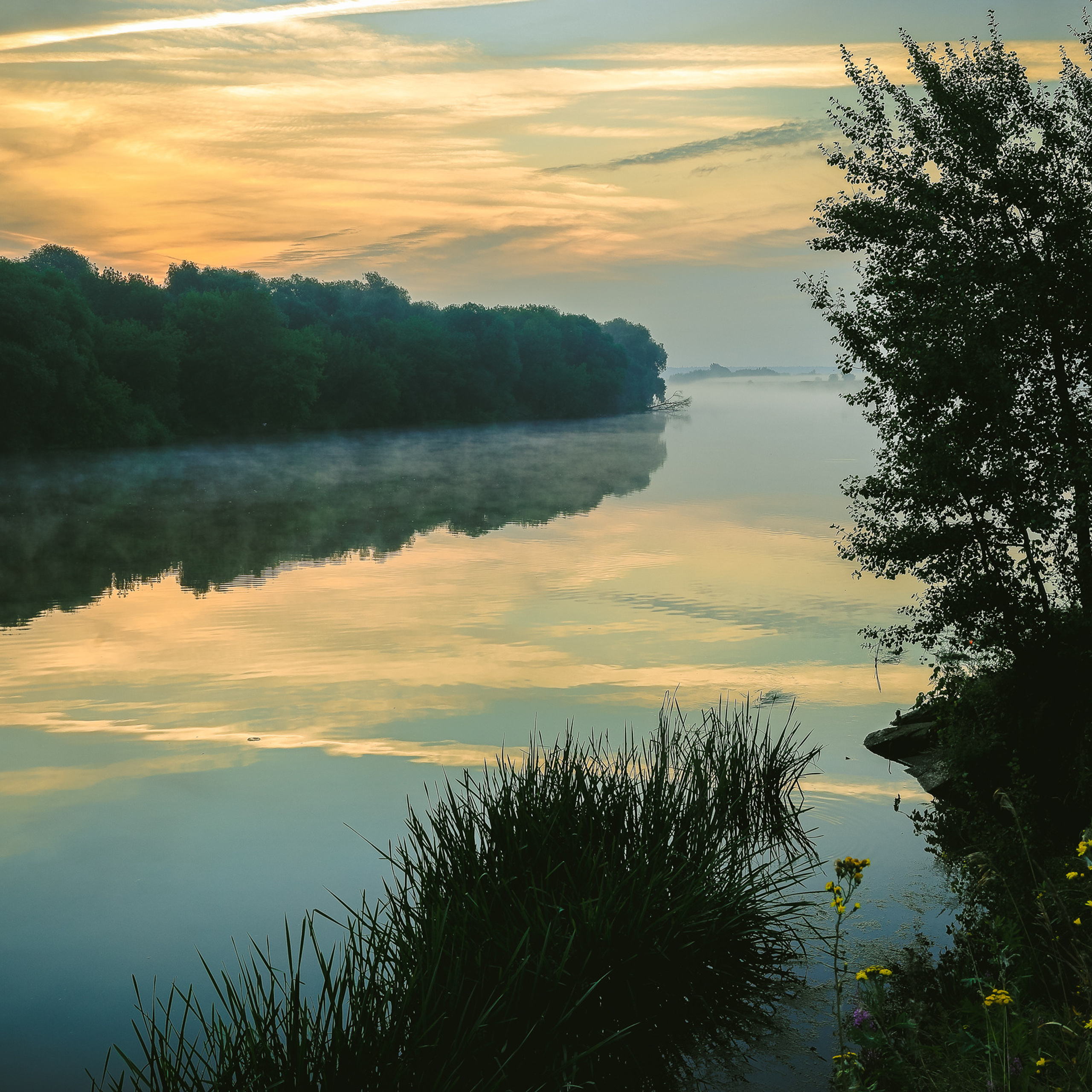 Речной пейзаж