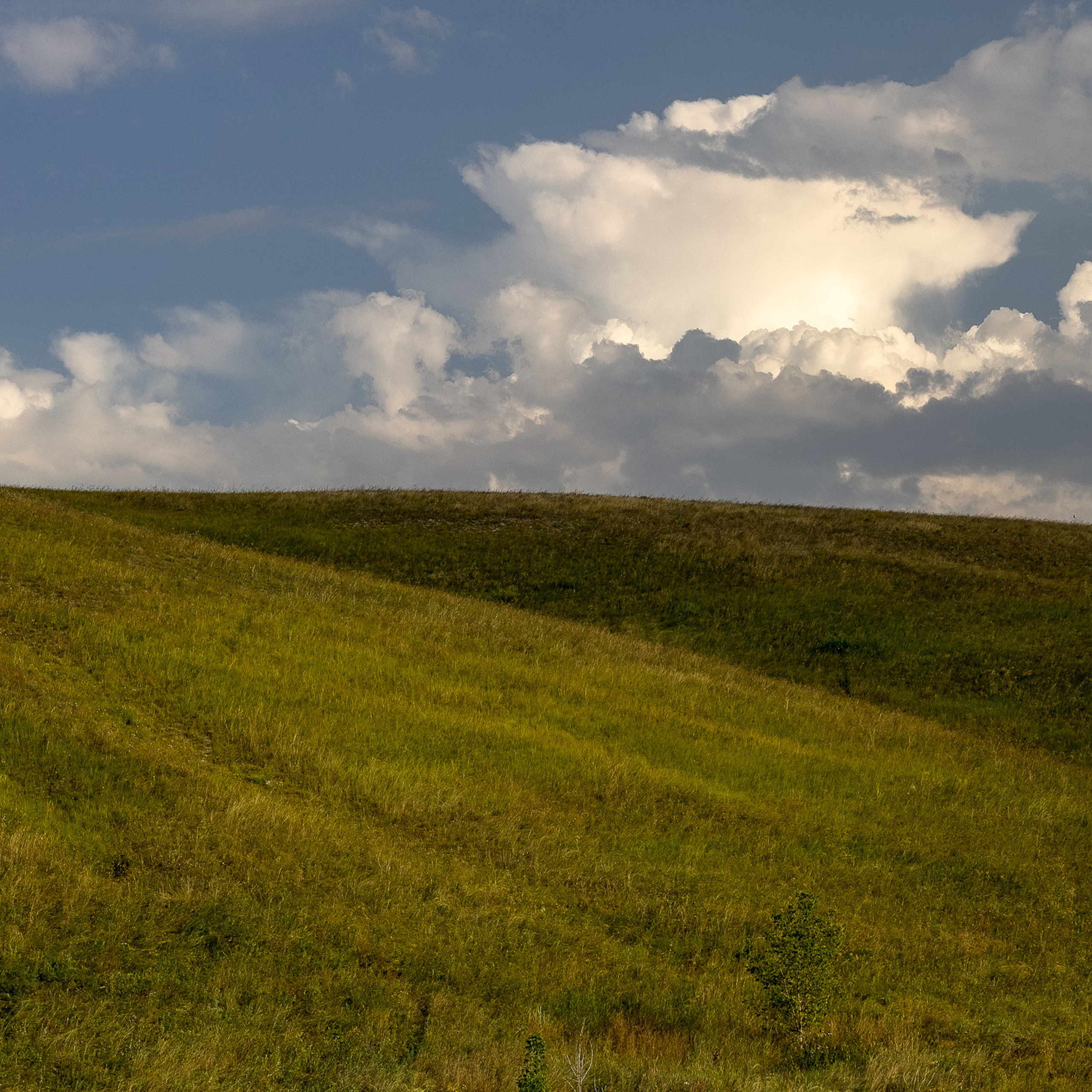 Лирический пейзаж