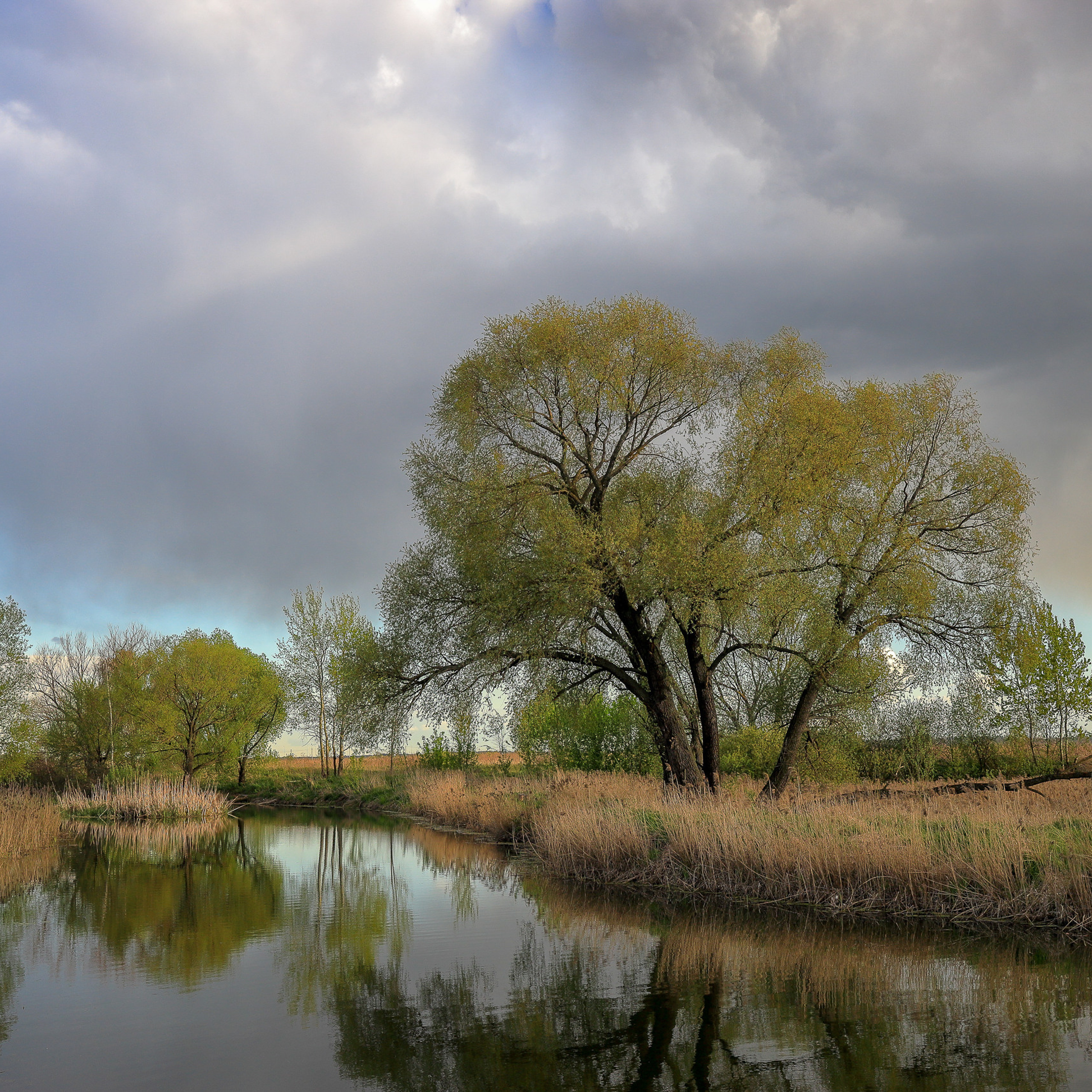 Весенний пейзаж