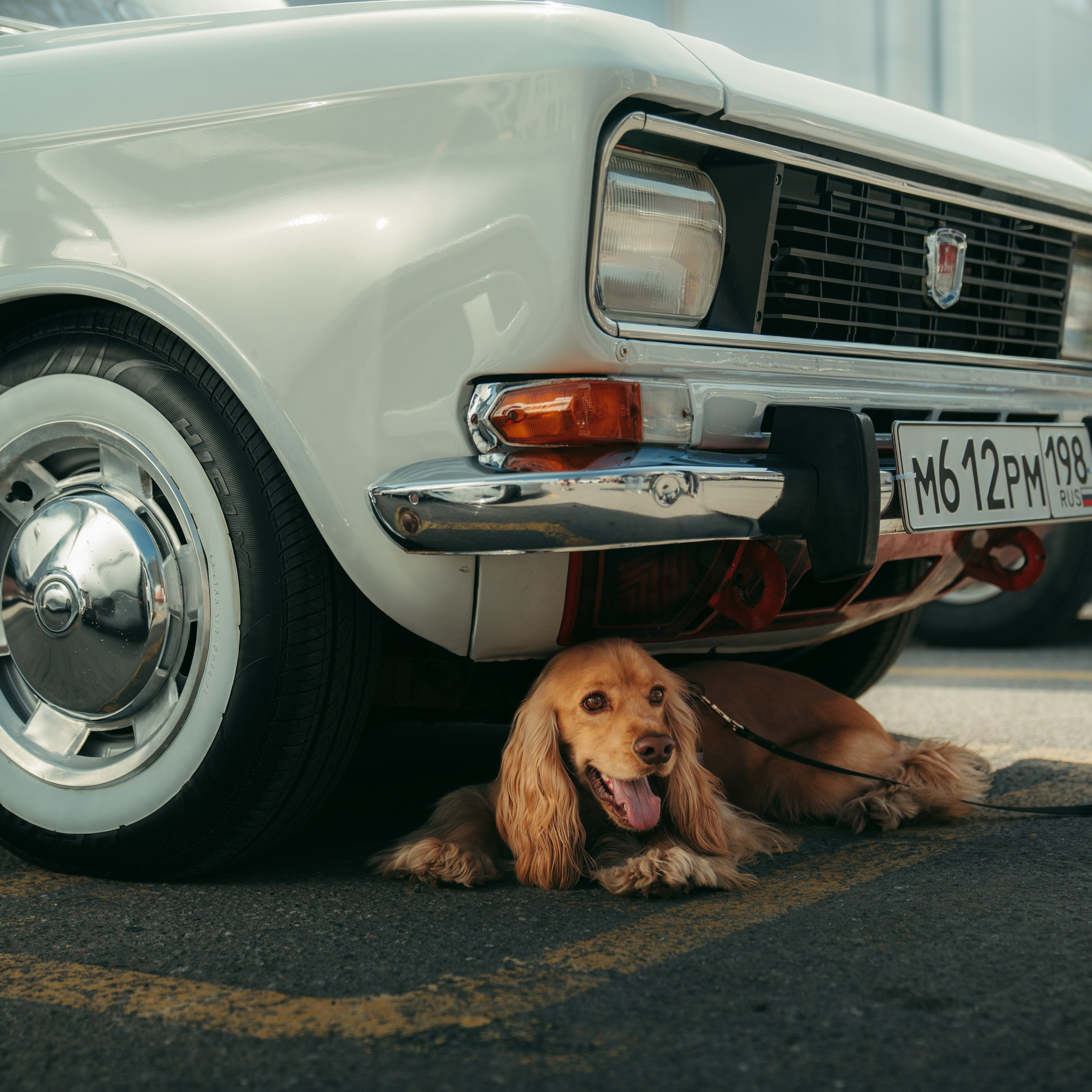 Cars and Coffee 19/04/25. Автомобильный фотограф Антон Цырулев