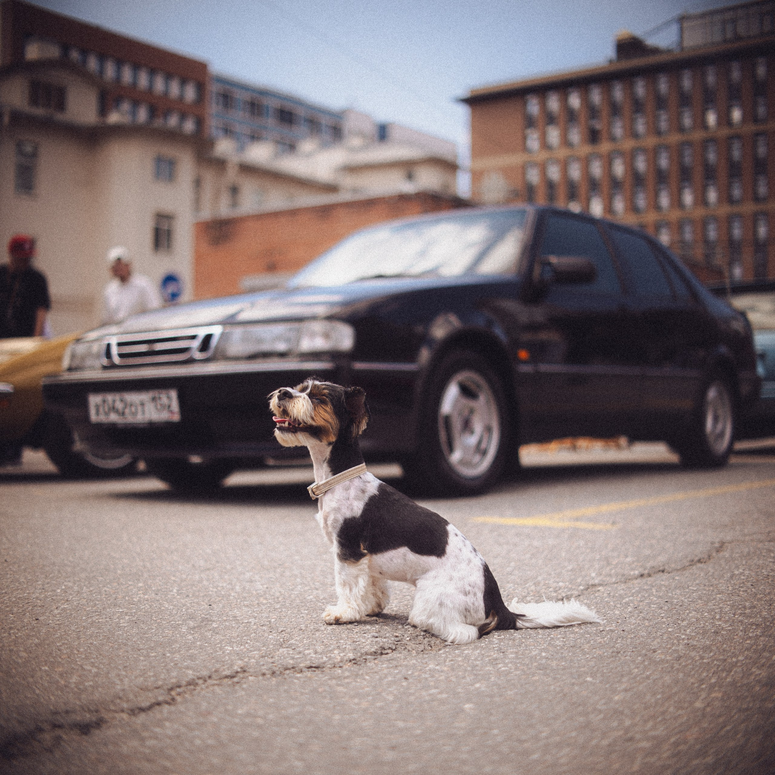 Cars and Coffee 25/07/26. Автомобильный фотограф Антон Цырулев