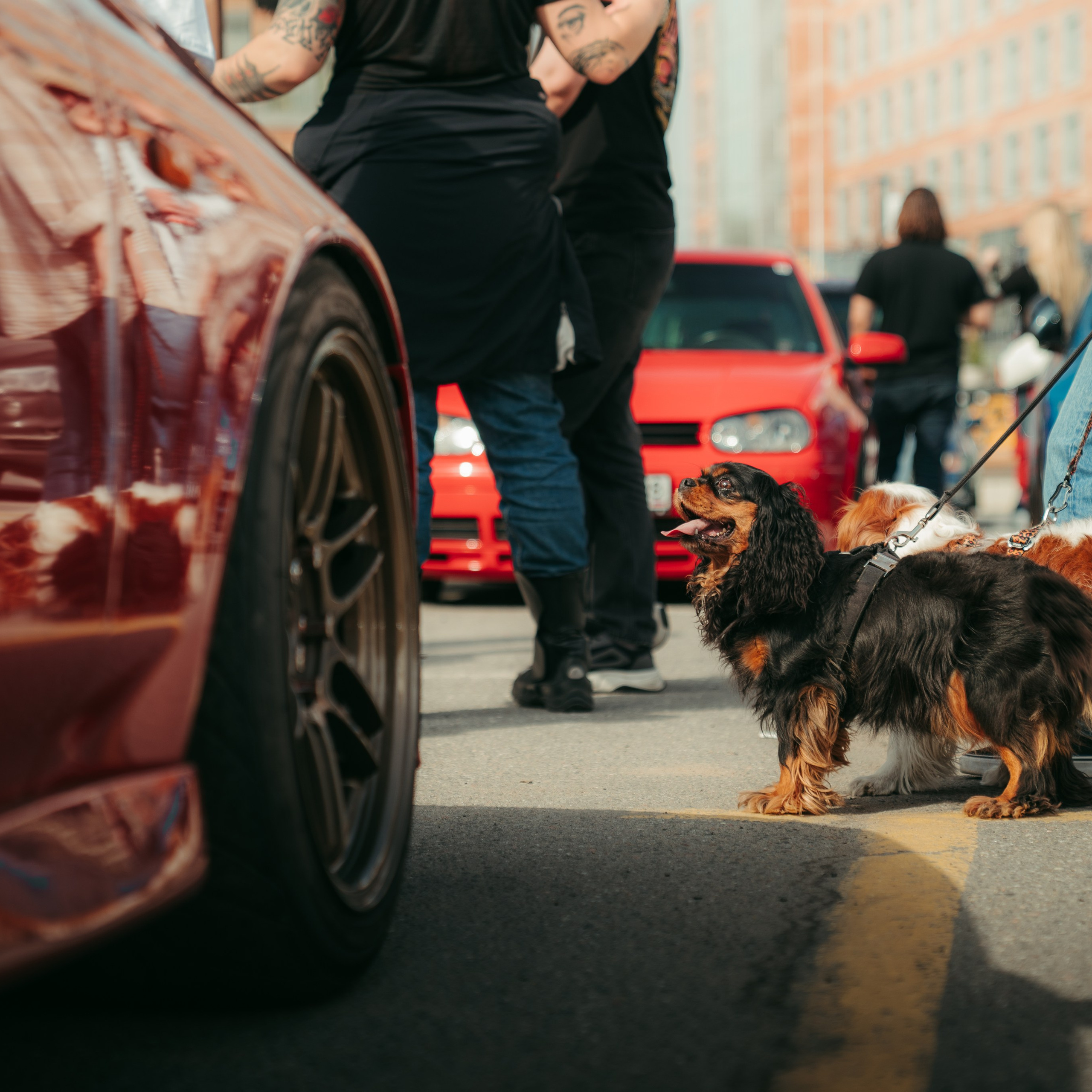 Cars and Coffee 19/04/25. Автомобильный фотограф Антон Цырулев
