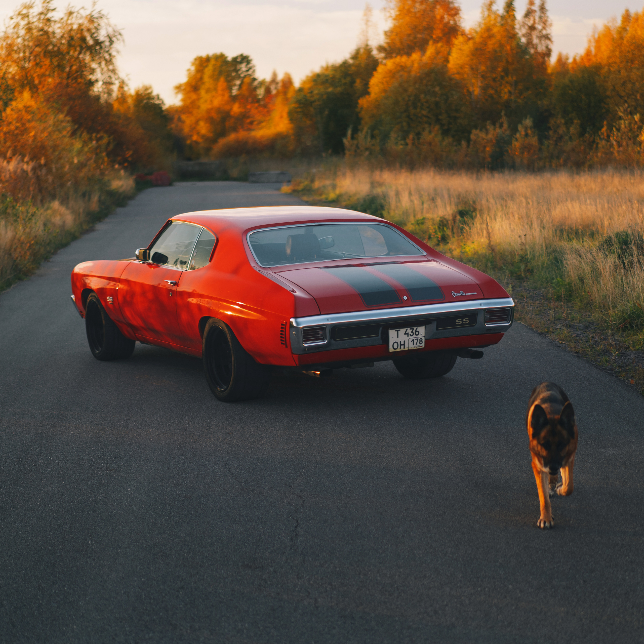 Chevrolet Chevelle SS