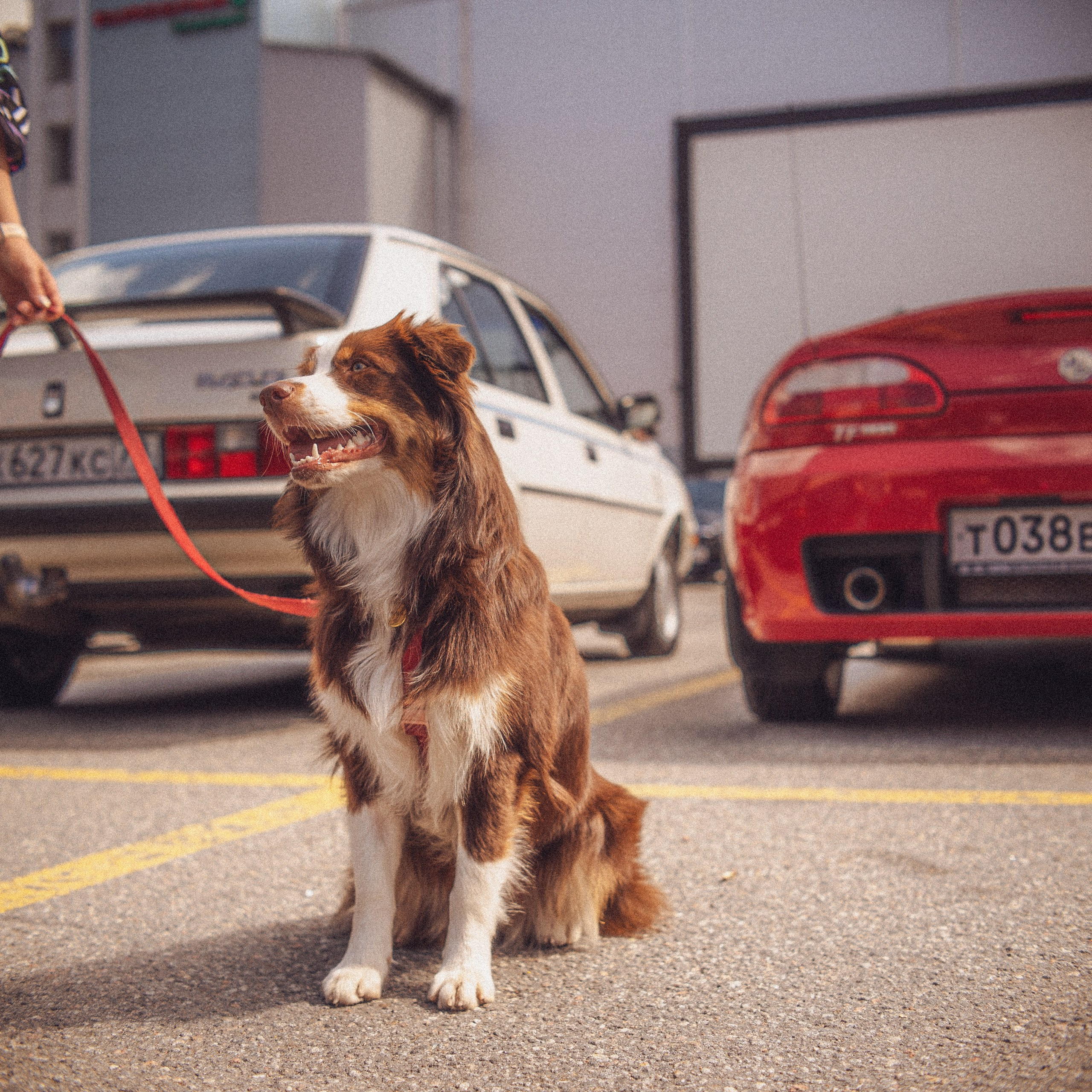 Cars and Coffee 25/07/26. Автомобильный фотограф Антон Цырулев