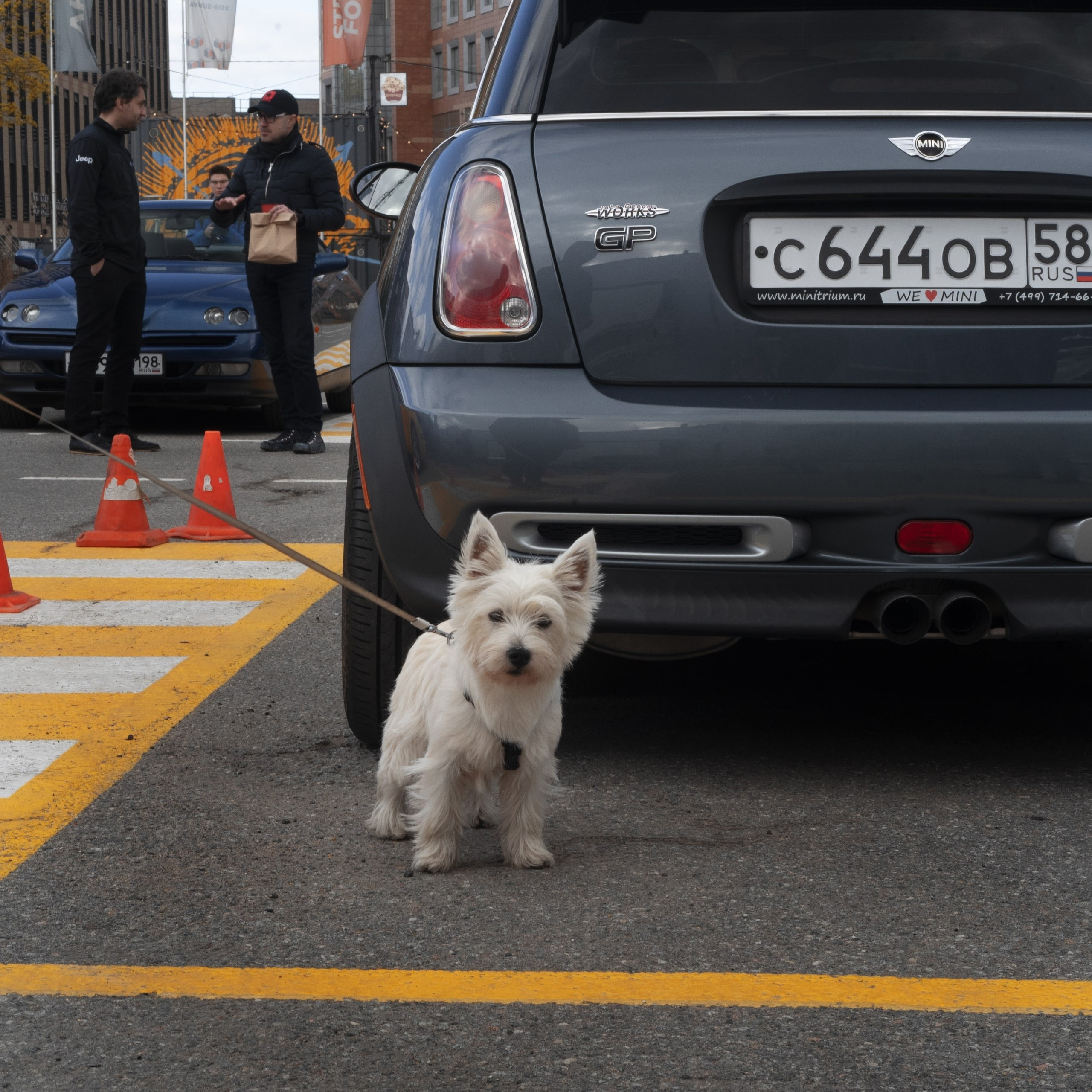 Cars and Coffee 6/05/23. Автомобильный фотограф Антон Цырулев