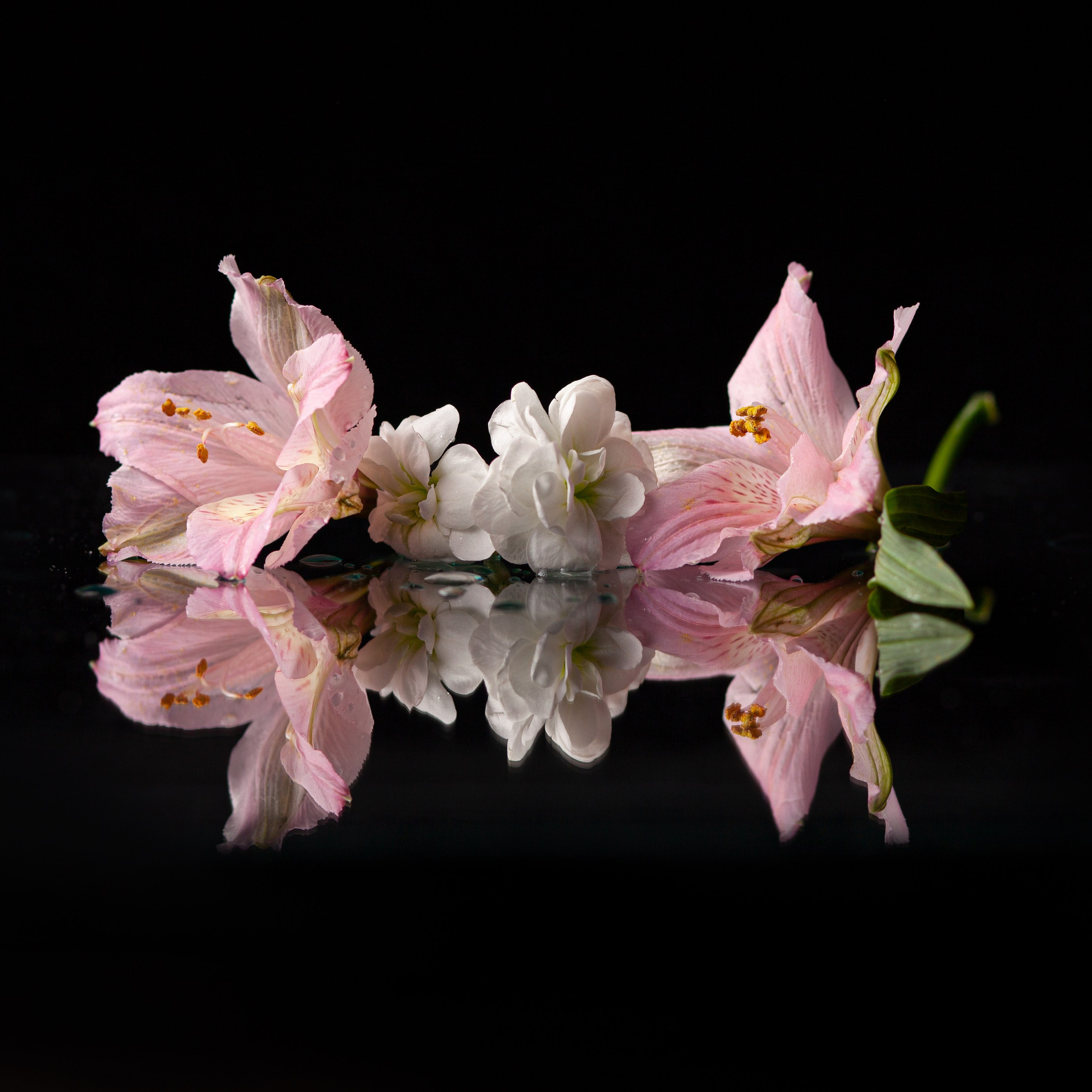 Вам подарок!. Елена Комова Фотограф Новосибирск