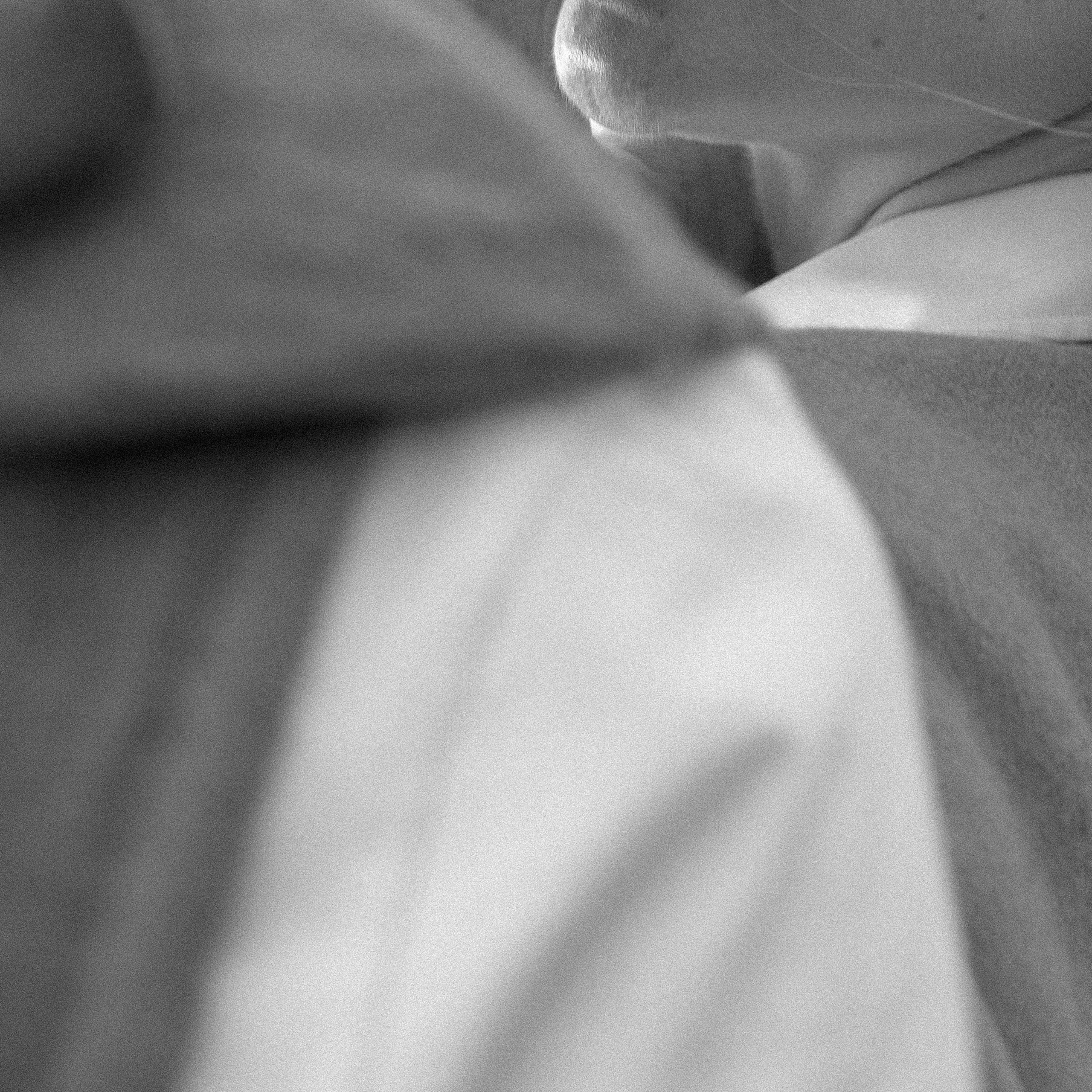 Финский. Свадебный и Семейный фотограф Касимов|Рязань|Москва