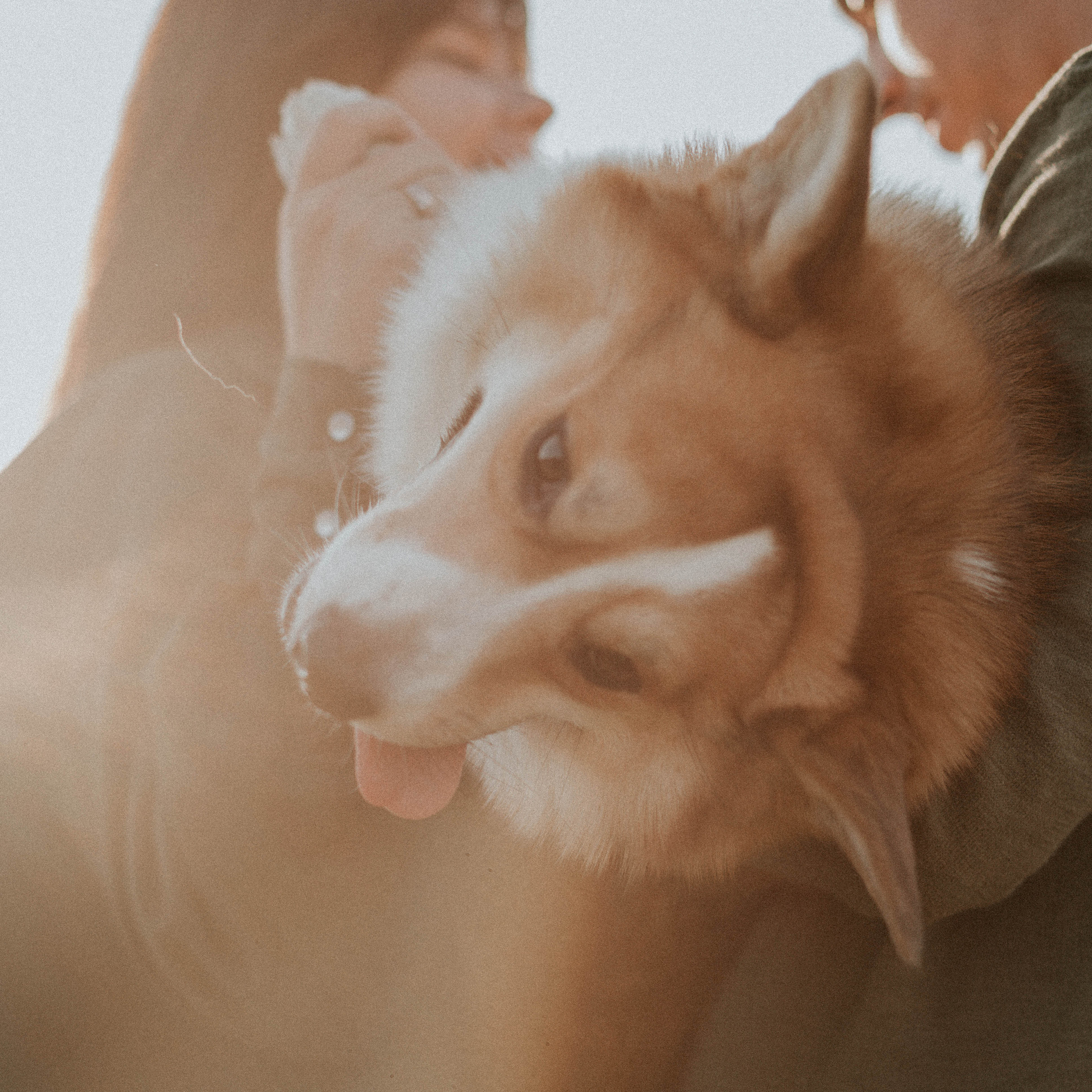 Кристина и Виталий