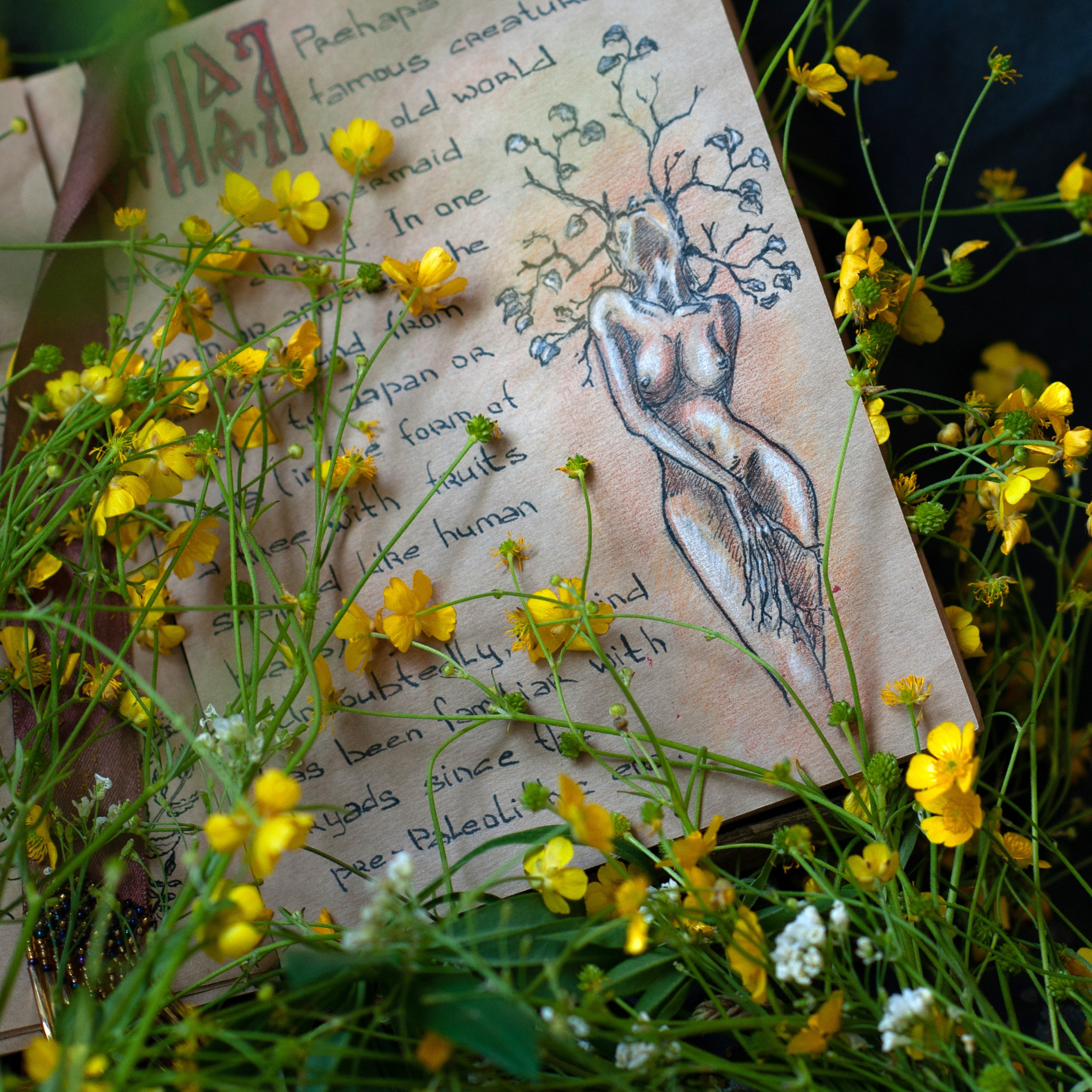 Работы художника