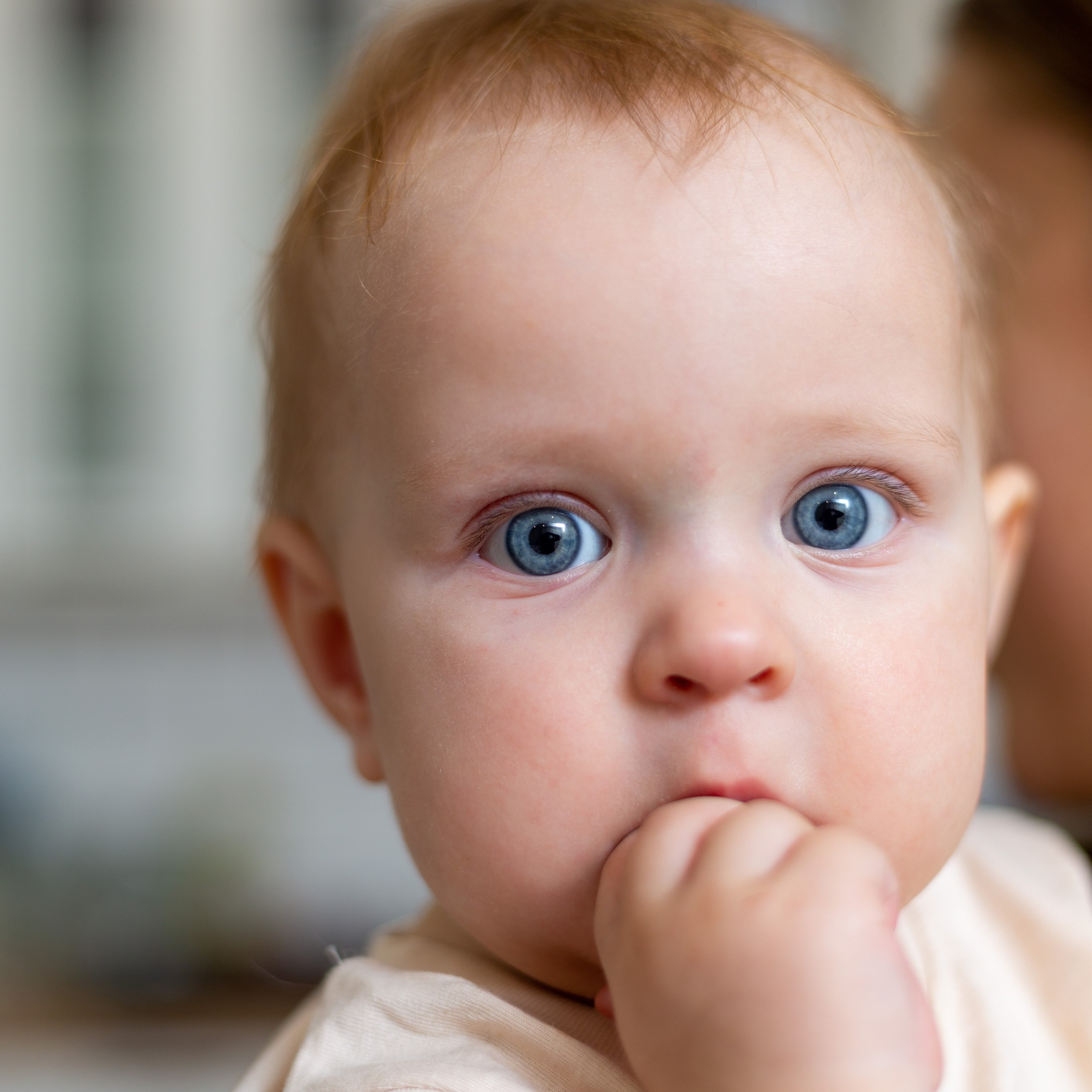 Отзывы. Dr. FOTO