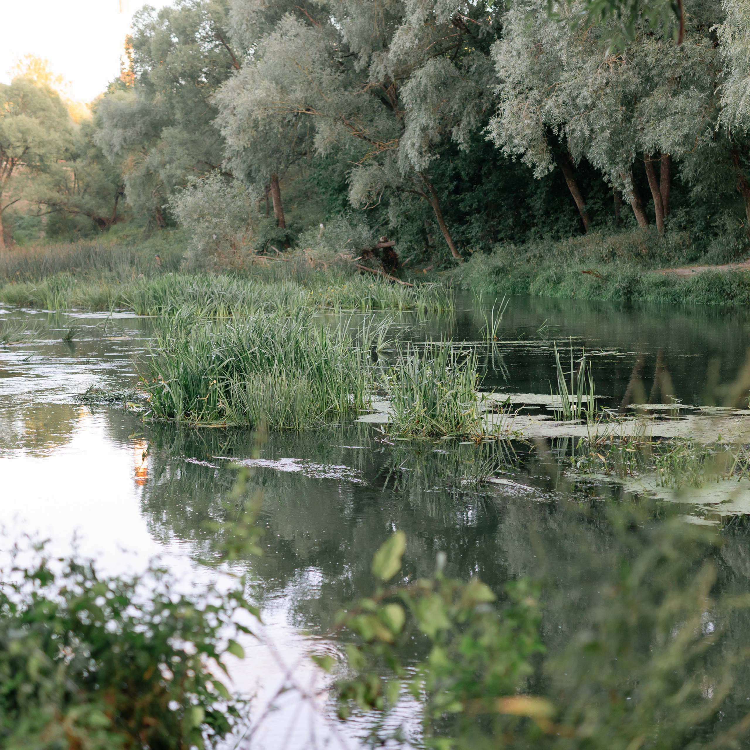 Отзывы. Фотостудия «Счастье» г. Обнинск
