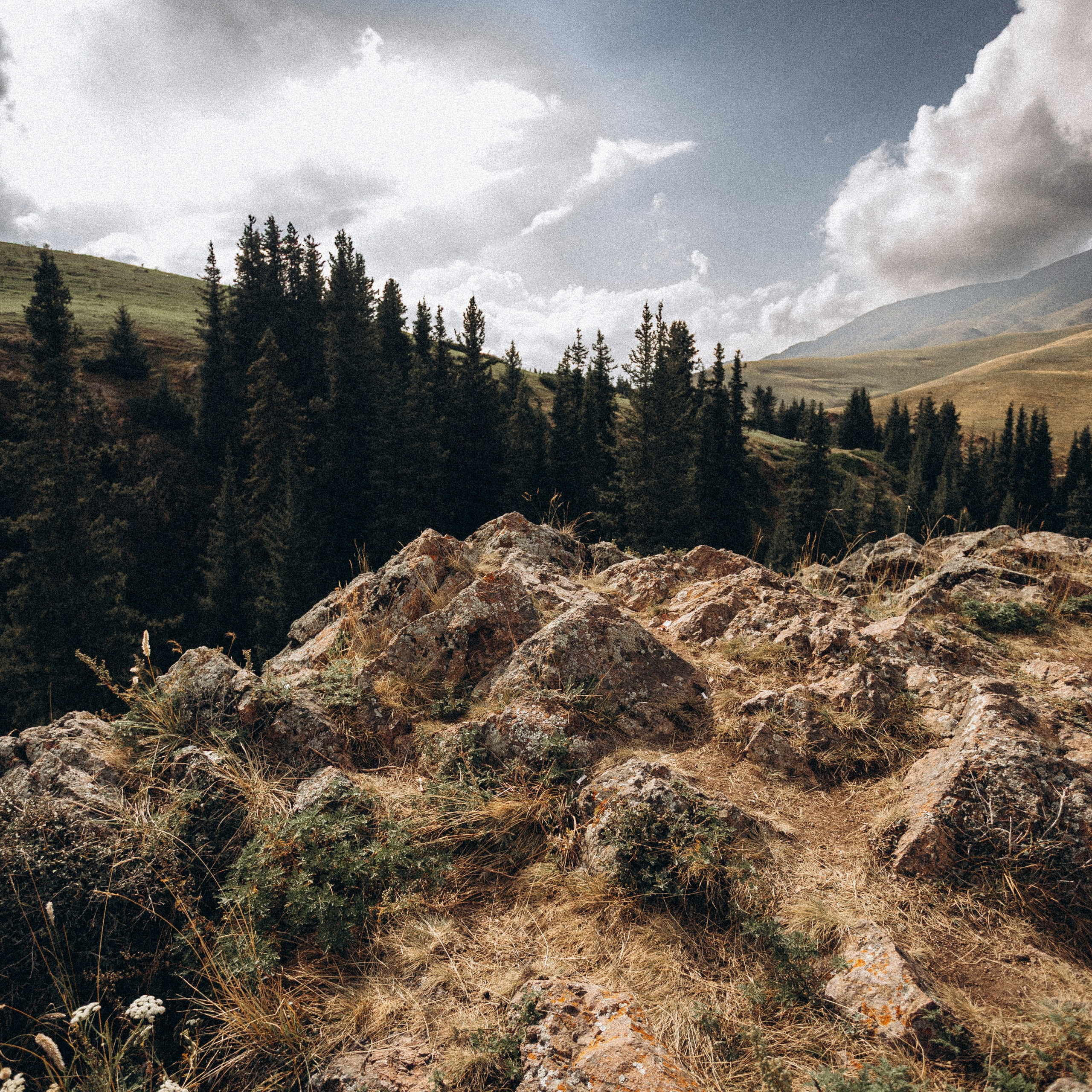 Отзывы. Экскурсии и туры по Алматы