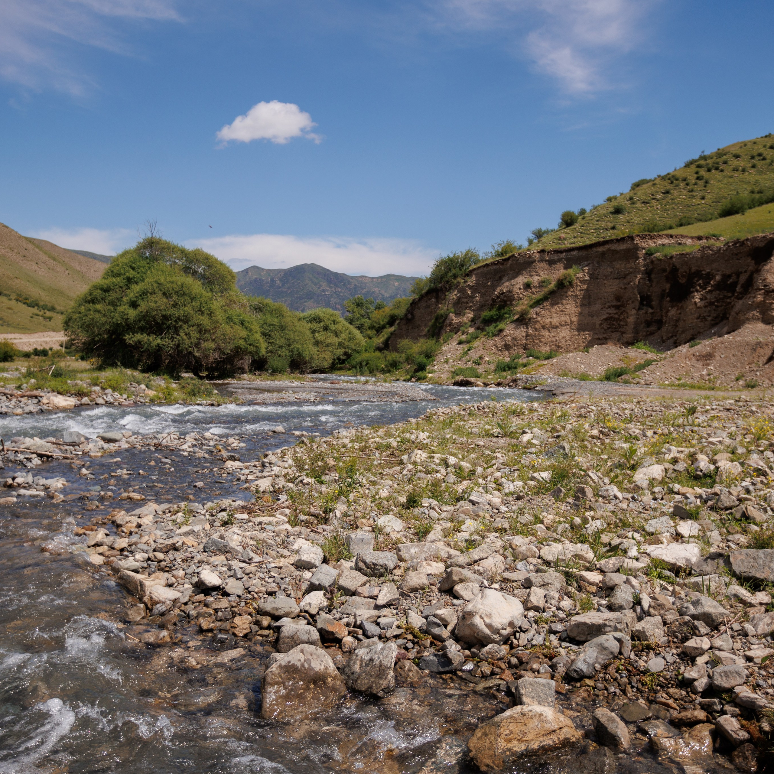 Отзывы. Экскурсии и туры по Алматы