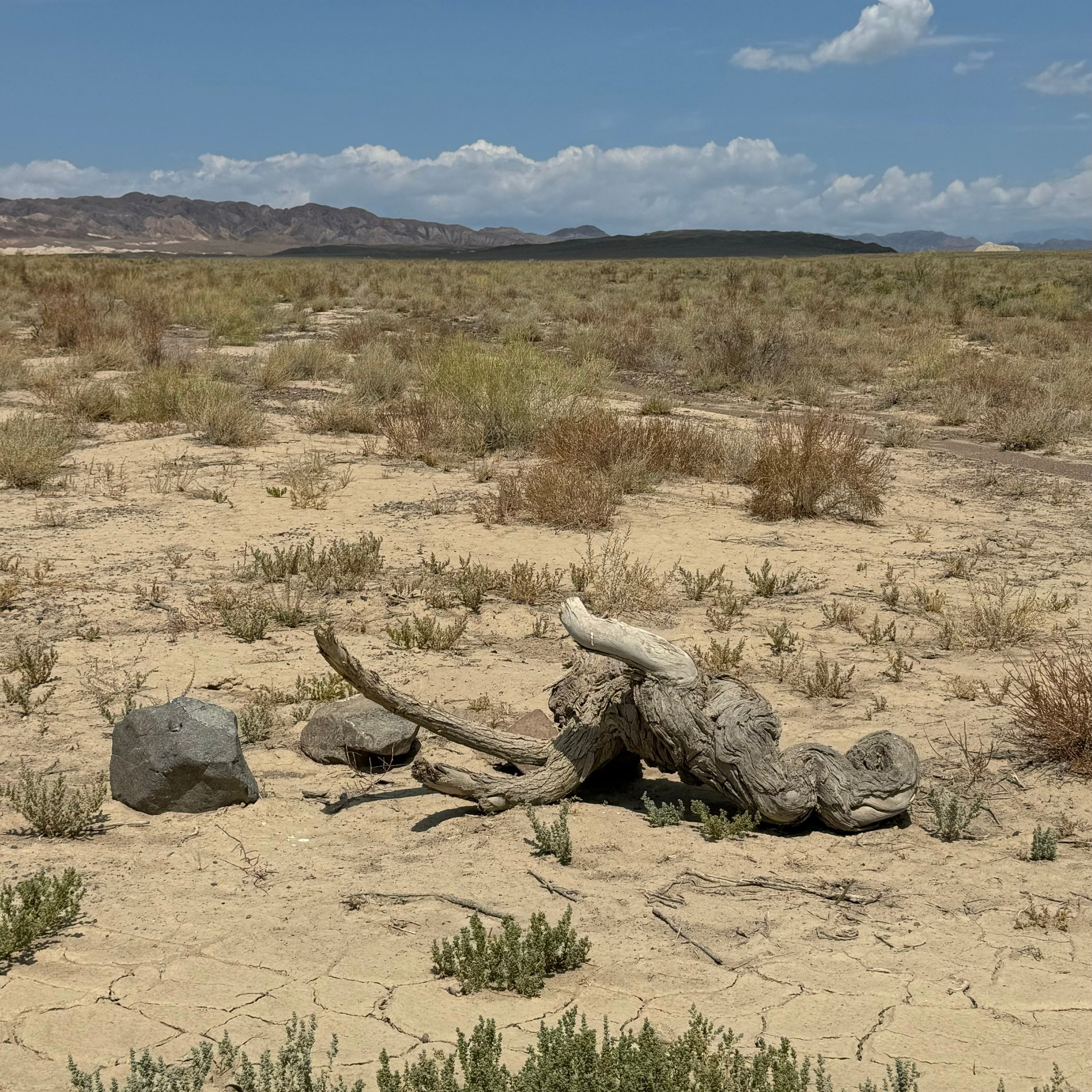 Отзывы. Экскурсии и туры по Алматы