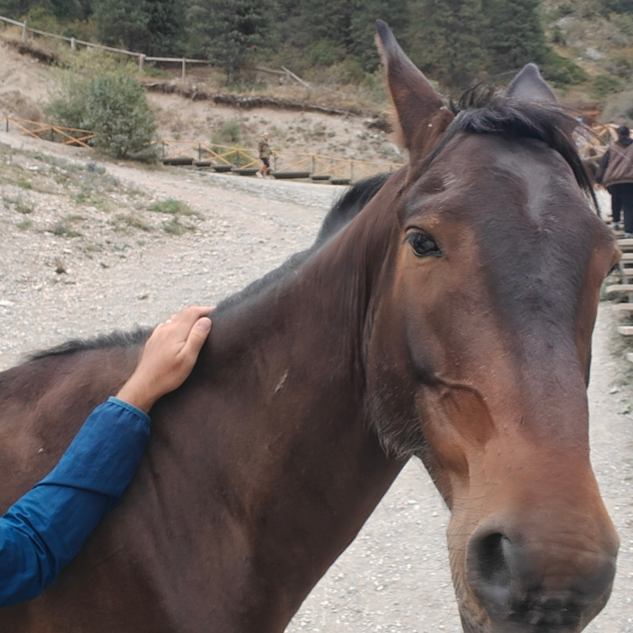 Отзывы. Экскурсии и туры по Алматы