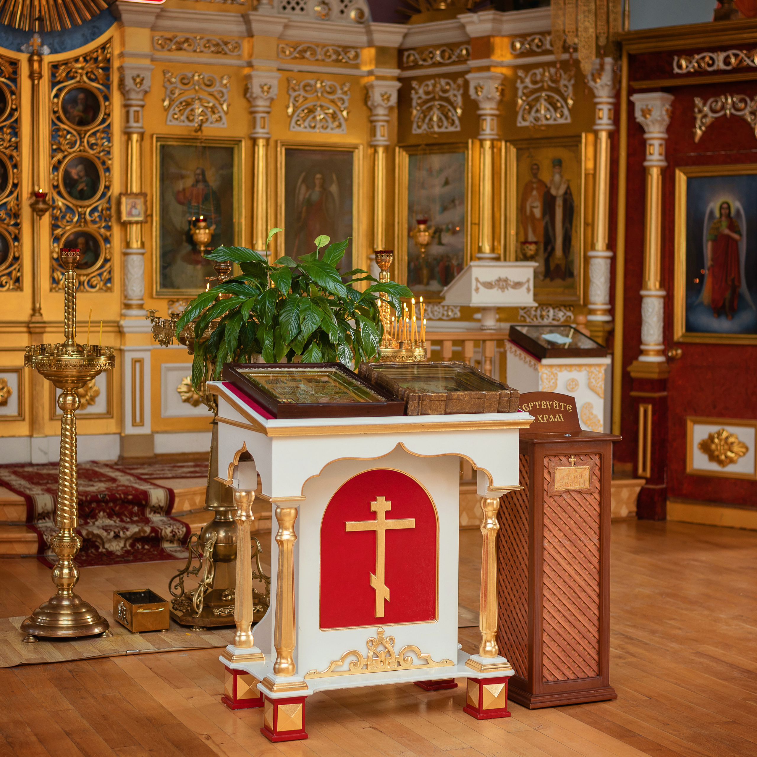 Отзывы. Свадебный и семейный фотограф в Крыму Elena Gavrik