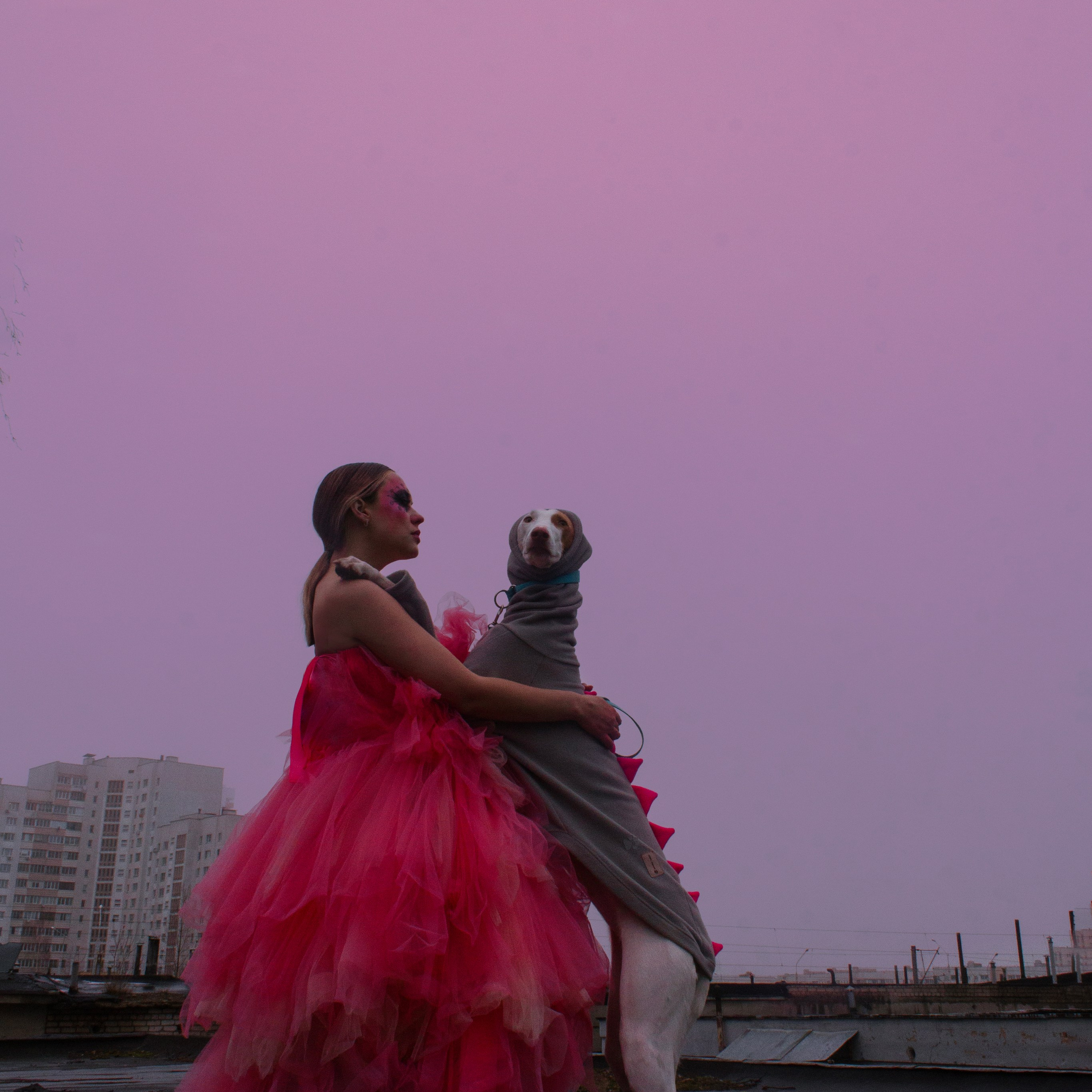 Яркая собачья жизнь