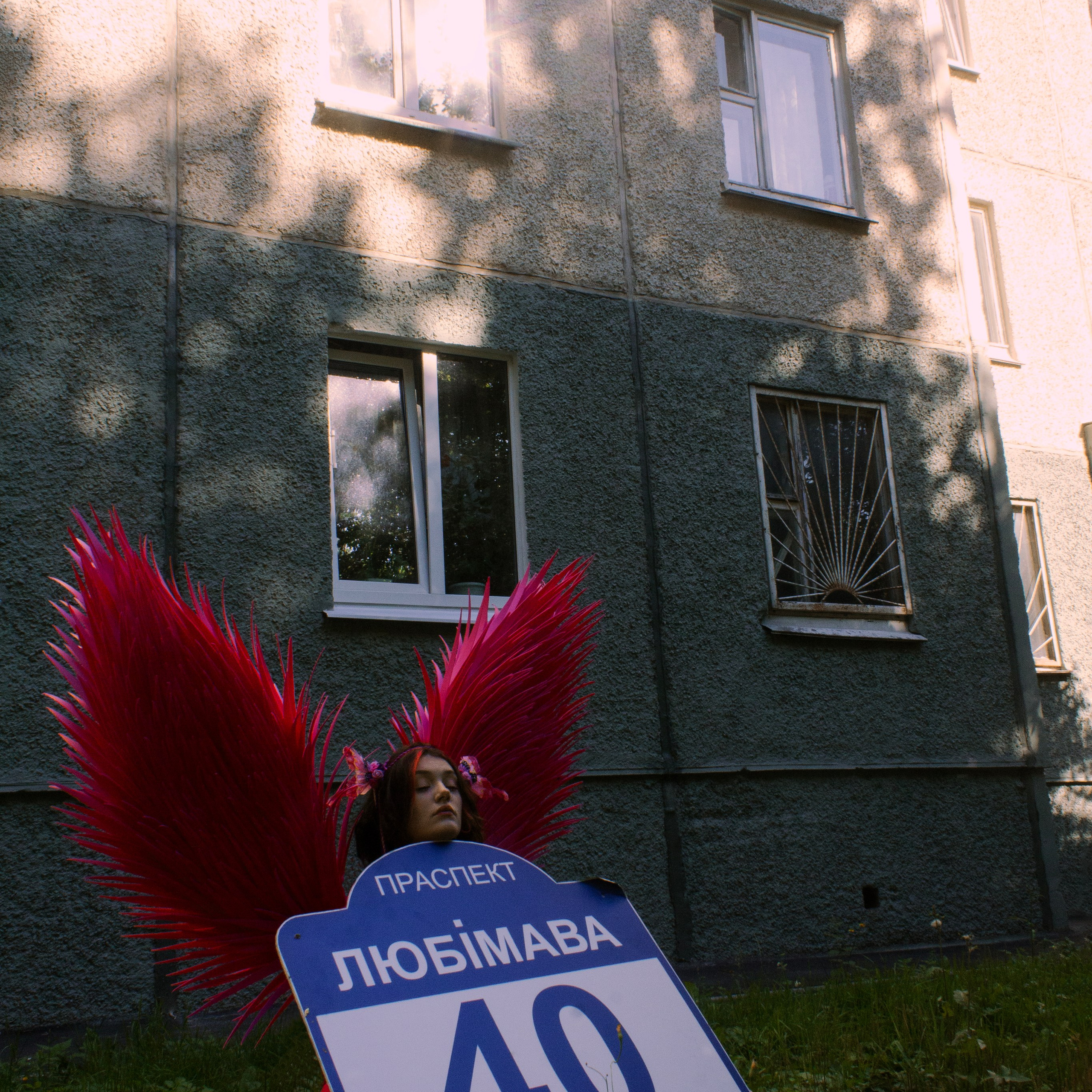 Земля под розовыми крыльями