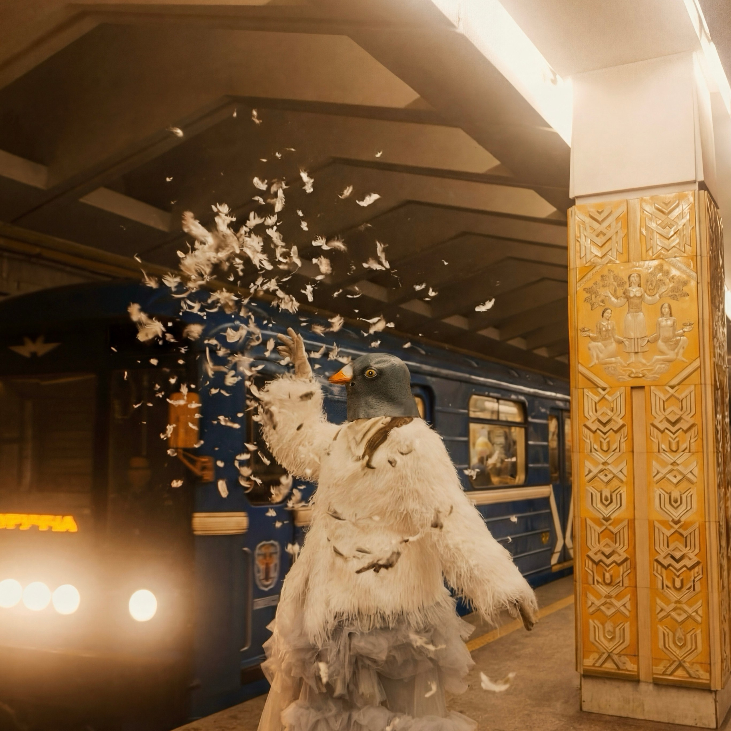 Городской голубь