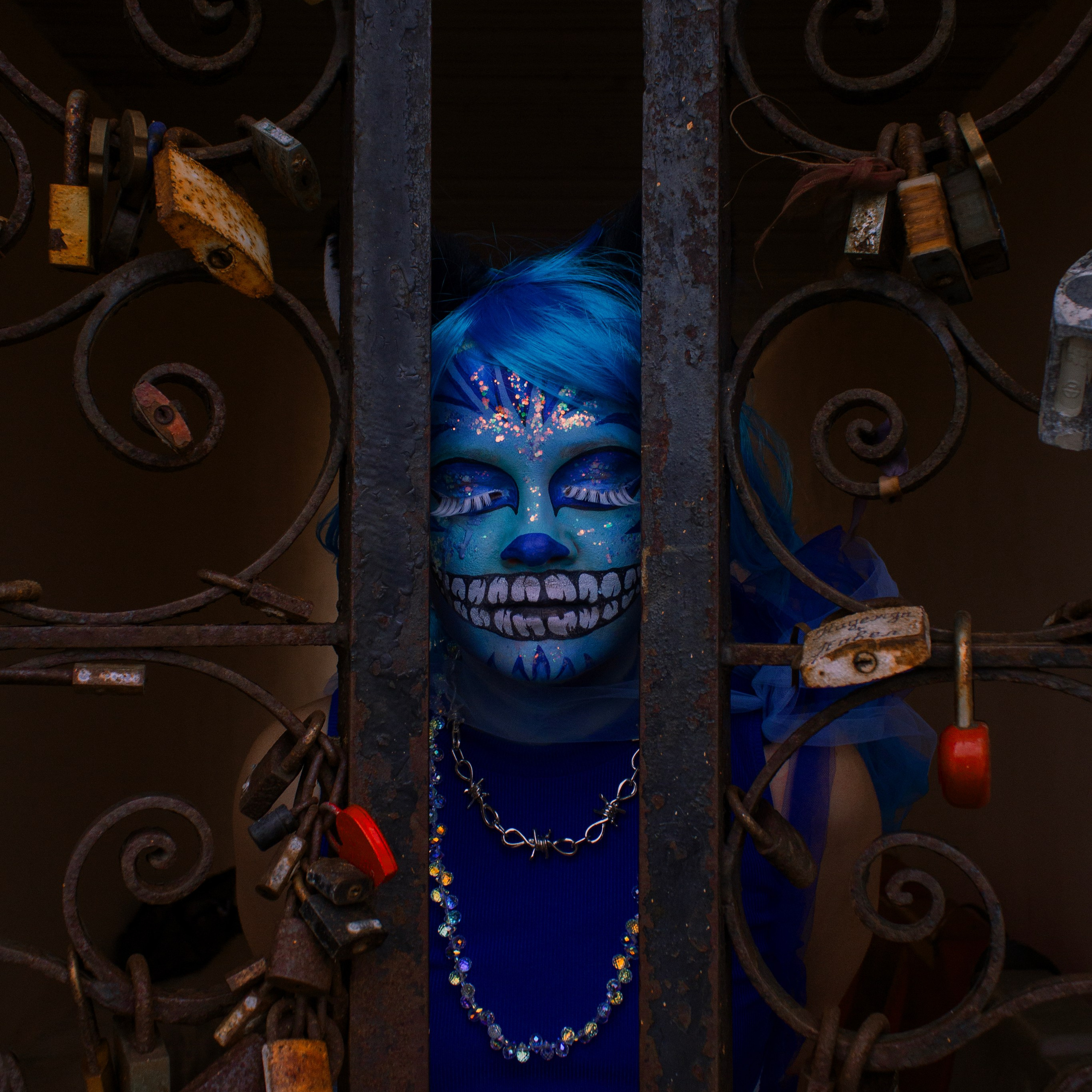 Встречайте: чеширская кошечка