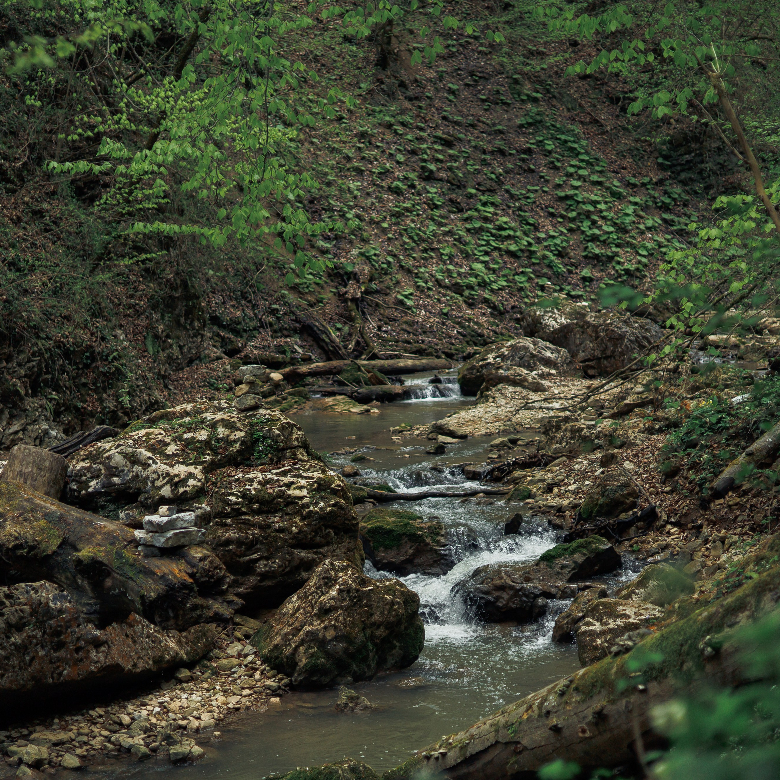 Адыгея. Водопады Руфабго 13.04.24. Фотограф katya_vkadre Таганрог