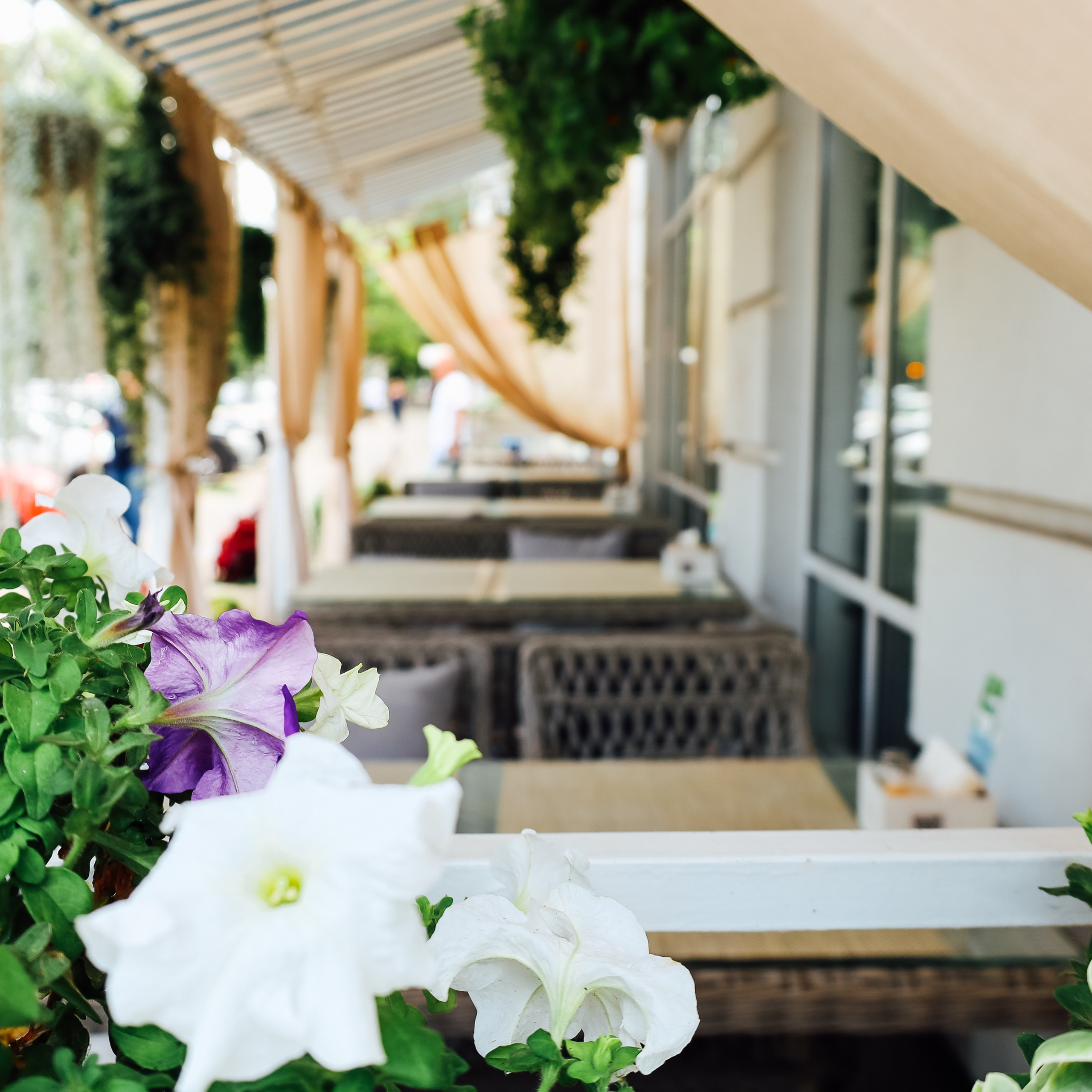 Фотосессия на день рождения. Фотограф katya_vkadre Таганрог