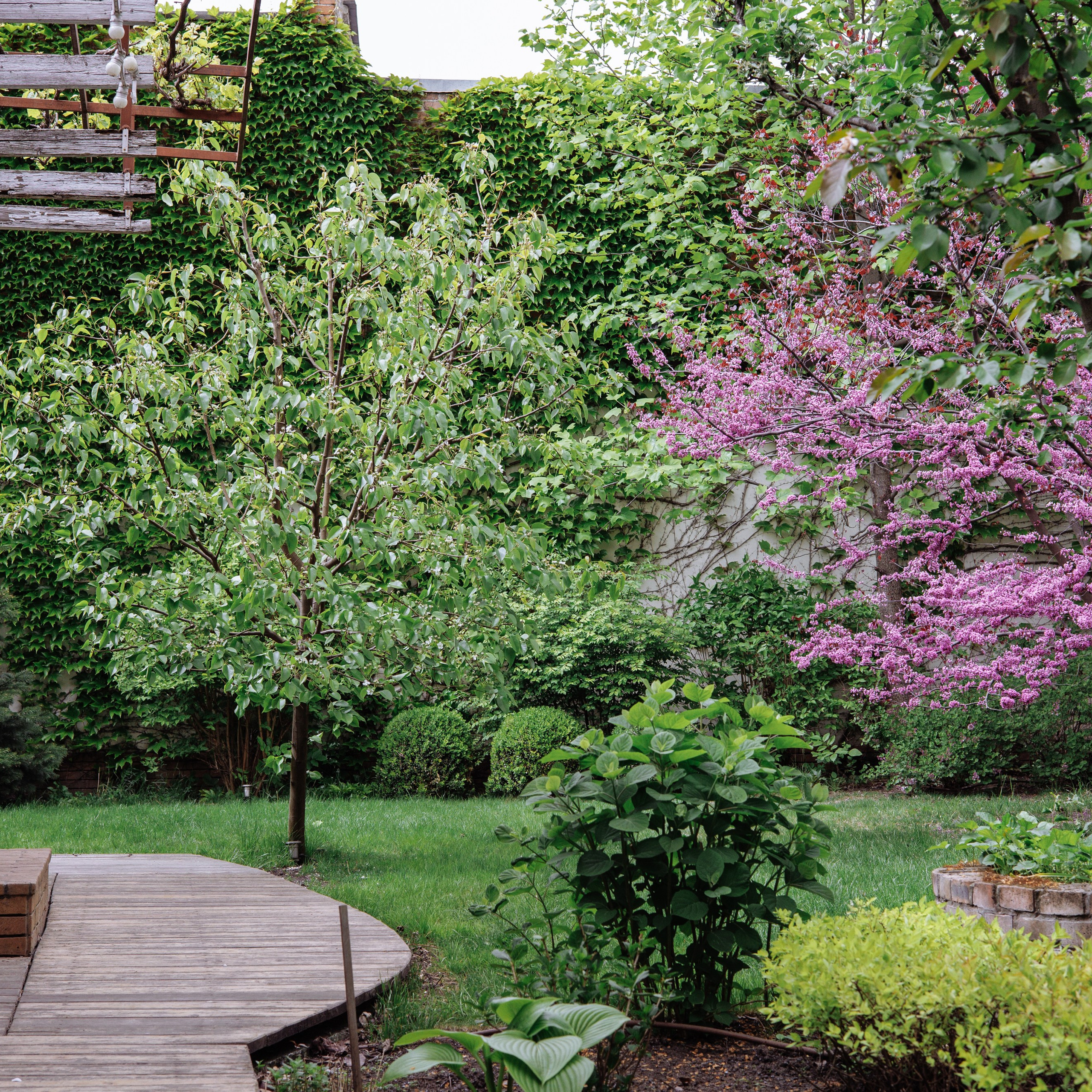 Анастасия ❤ Артём 24.04.24. Фотограф katya_vkadre Таганрог