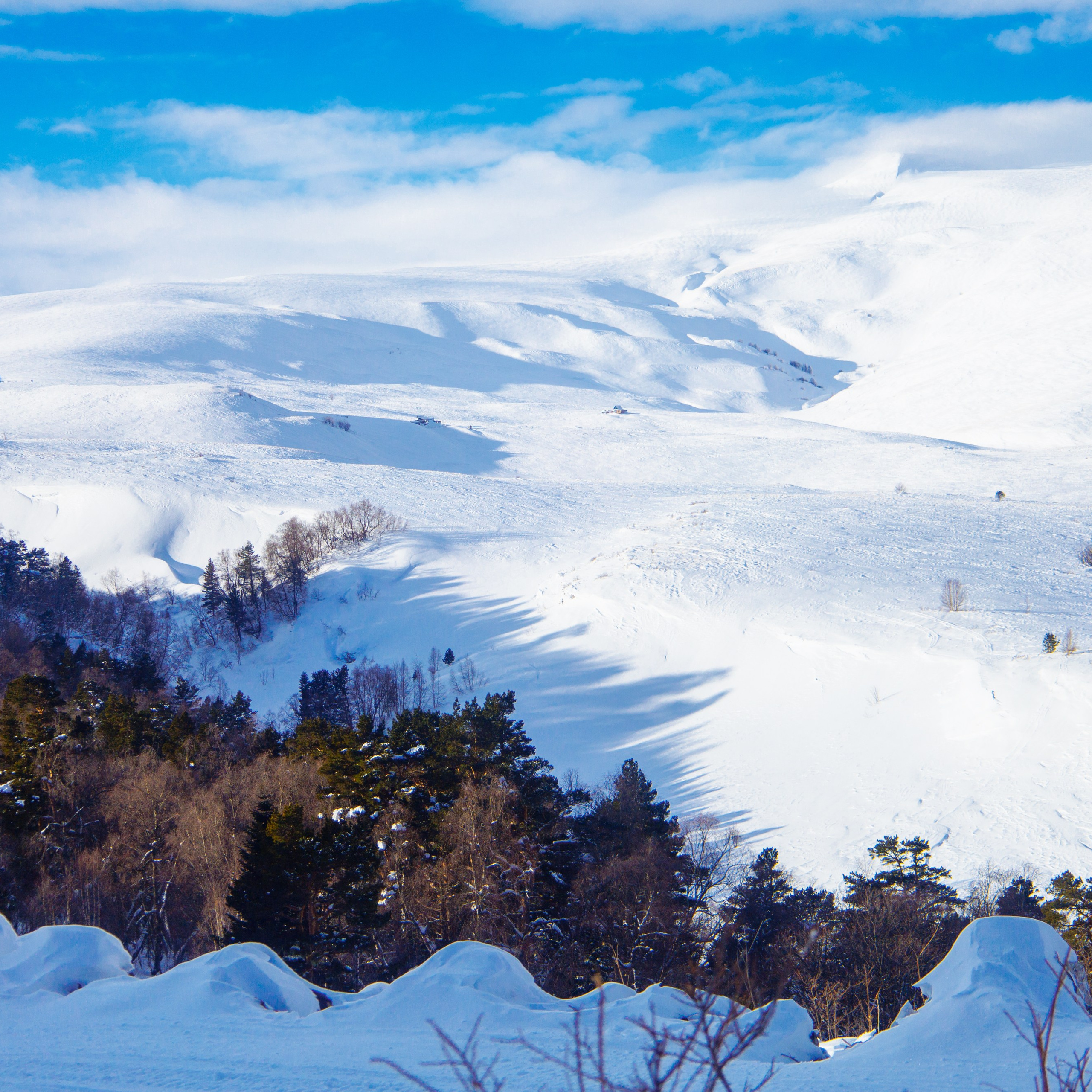 Адыгея. Лаго-Наки 27.01.24. Фотограф katya_vkadre Таганрог