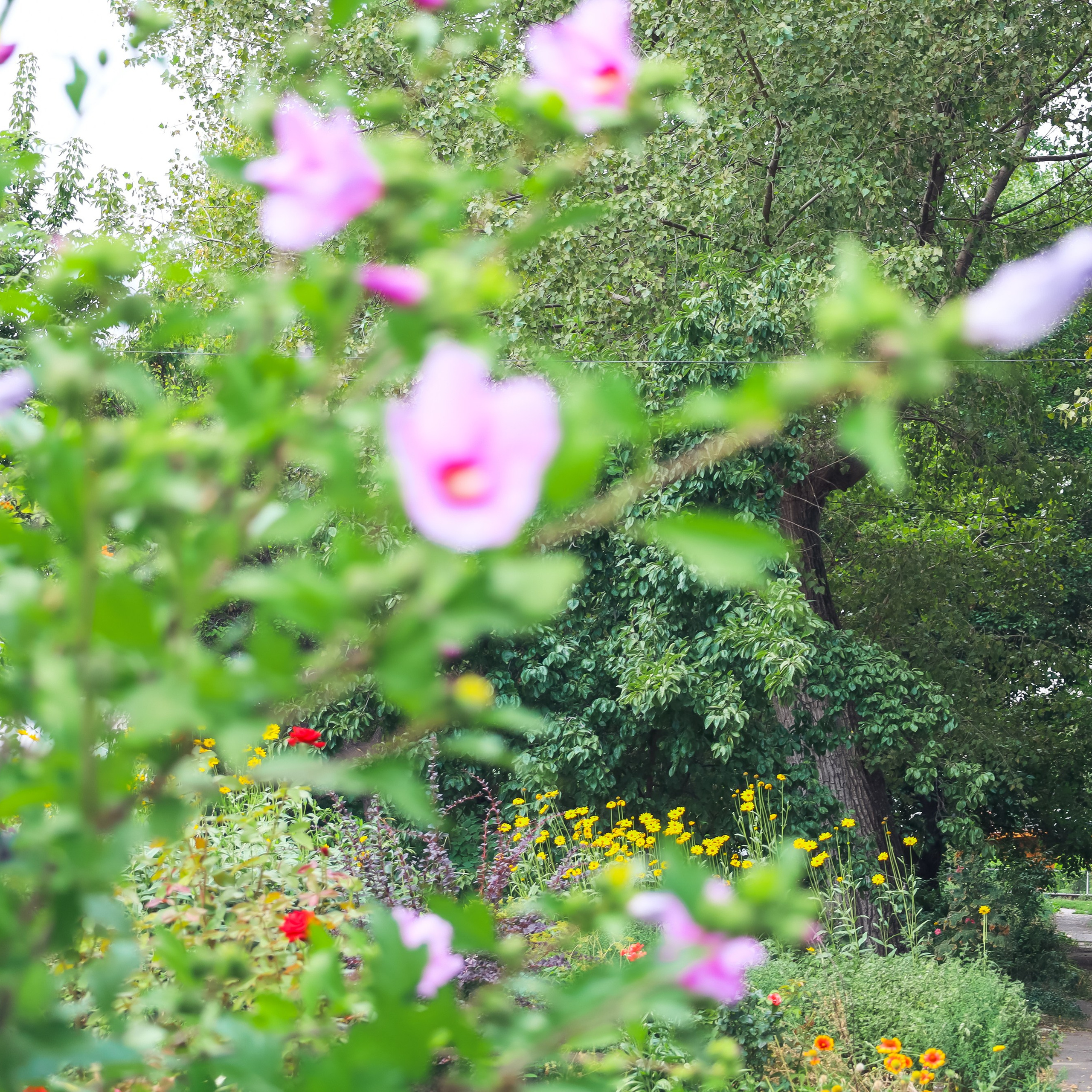 Фотосессия на день рождения. Фотограф katya_vkadre Таганрог