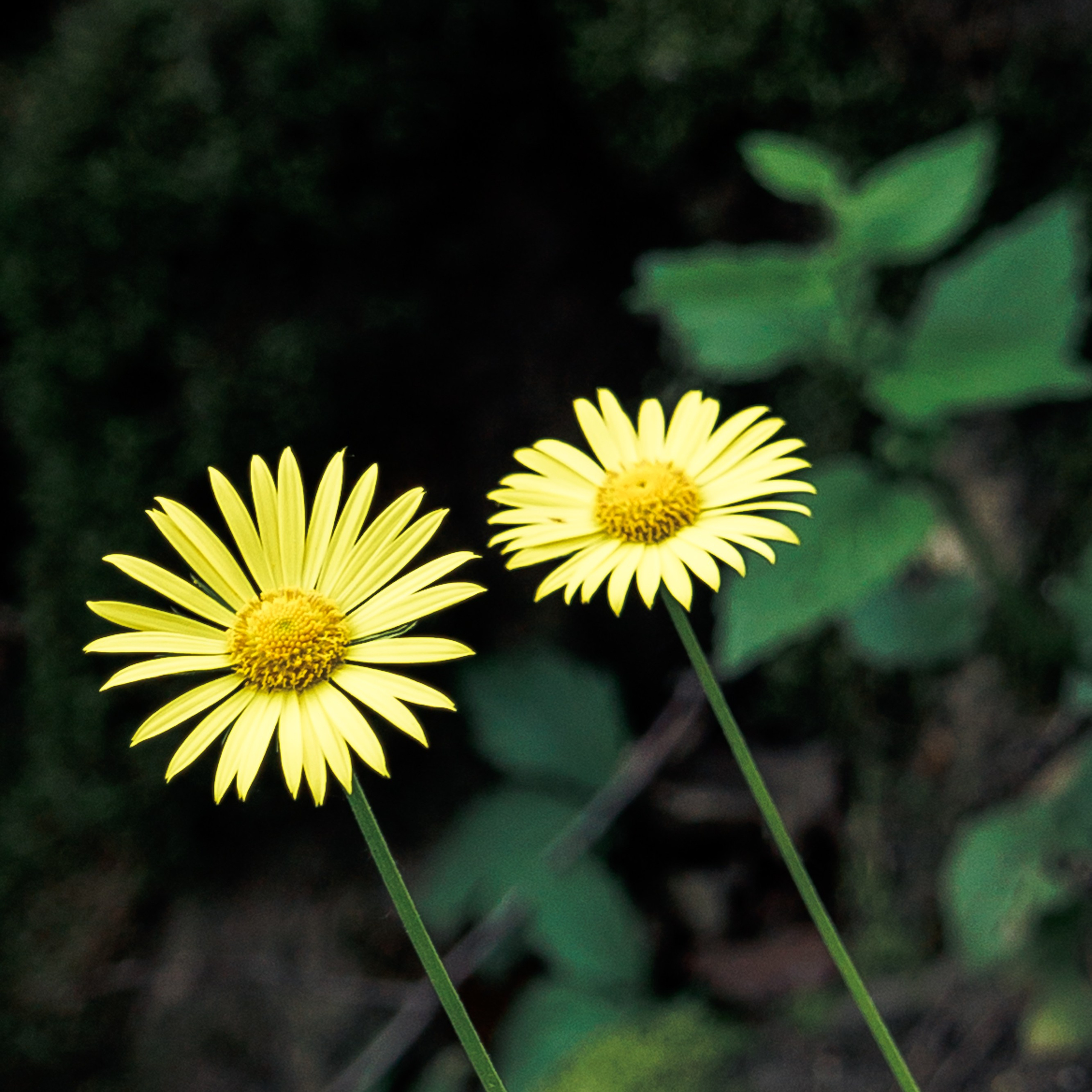 Адыгея. Водопады Руфабго 13.04.24. Фотограф katya_vkadre Таганрог