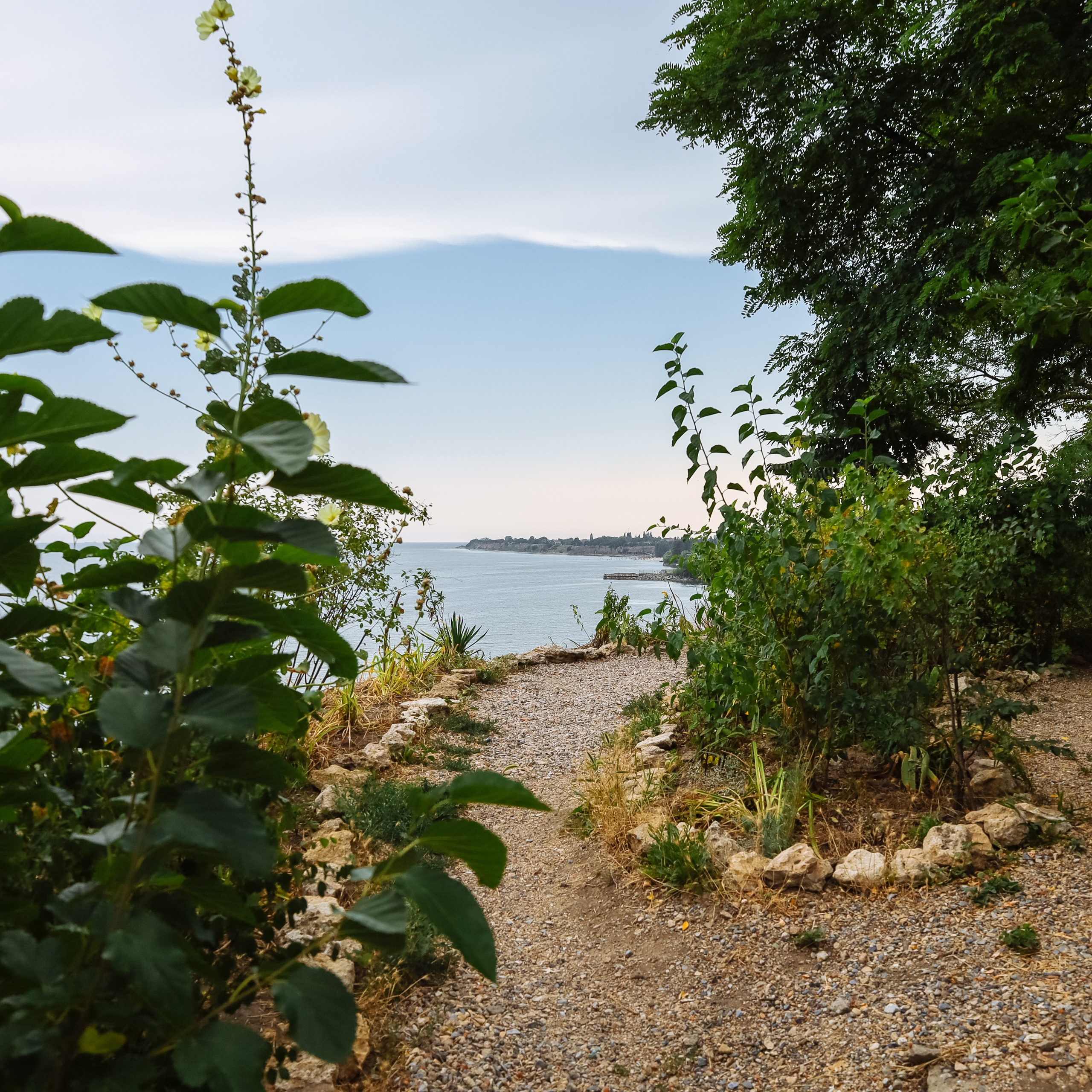 Фотосессия на день рождения. Фотограф katya_vkadre Таганрог