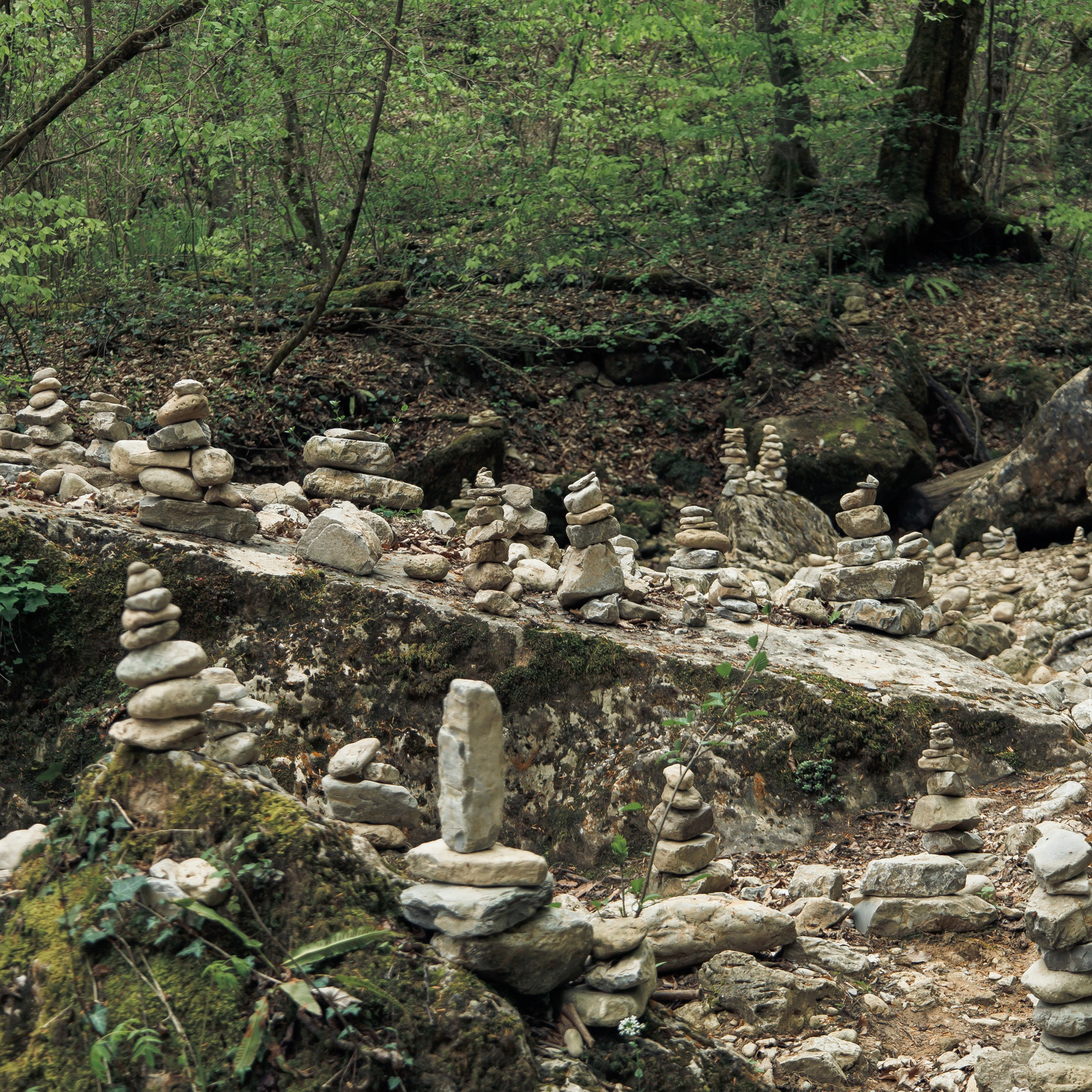 Адыгея. Водопады Руфабго 13.04.24. Фотограф katya_vkadre Таганрог