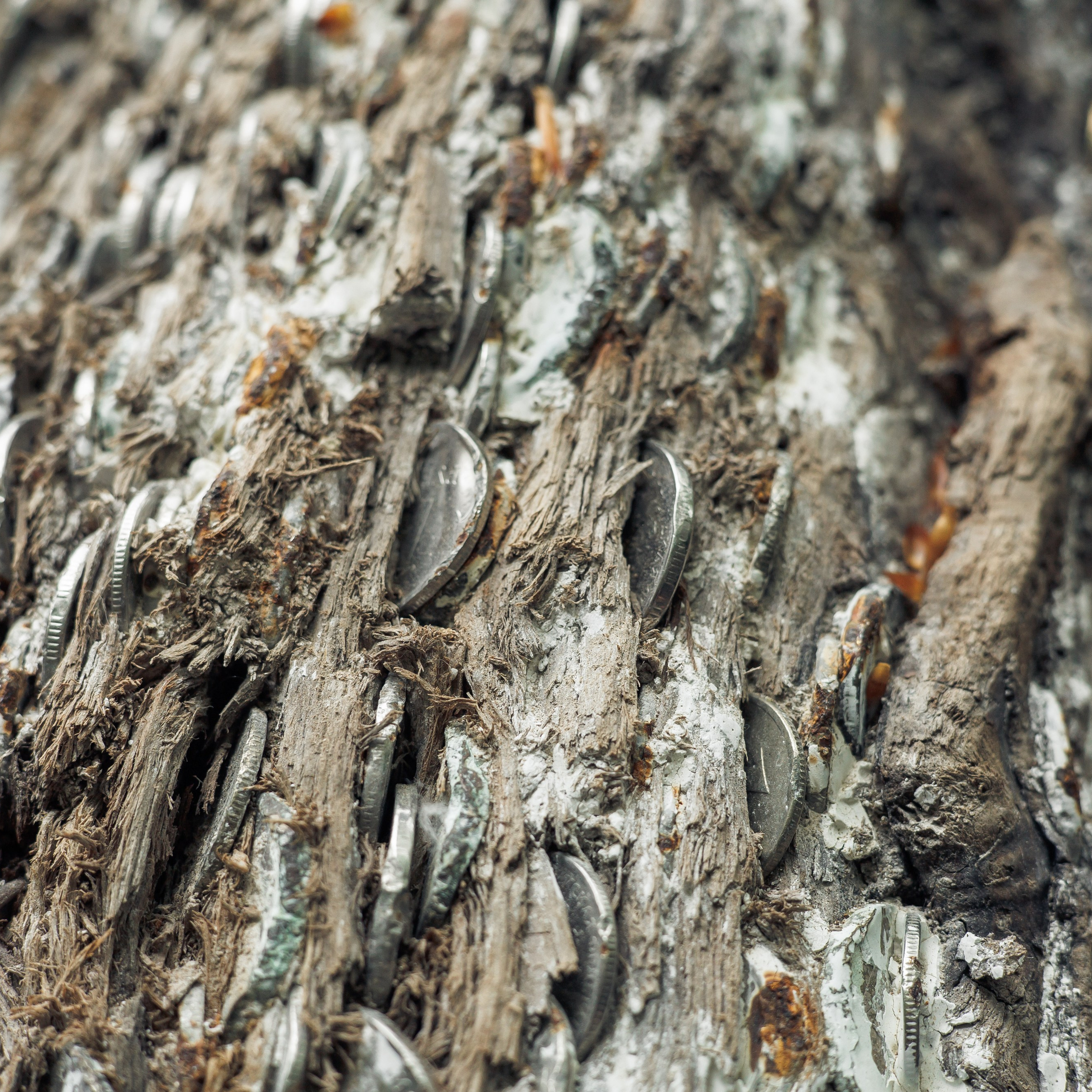 Адыгея. Водопады Руфабго 13.04.24. Фотограф katya_vkadre Таганрог