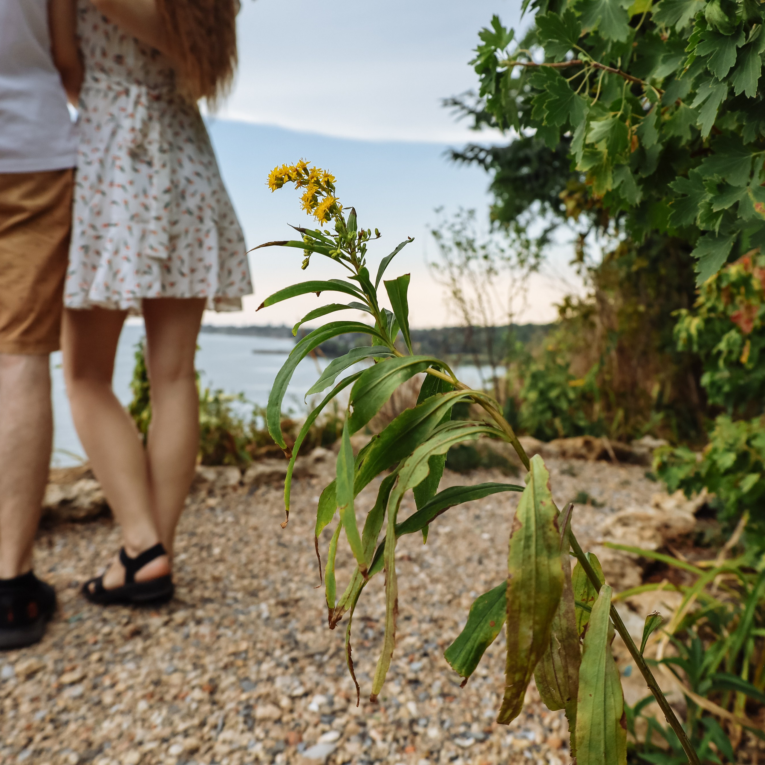 Фотосессия на день рождения. Фотограф katya_vkadre Таганрог