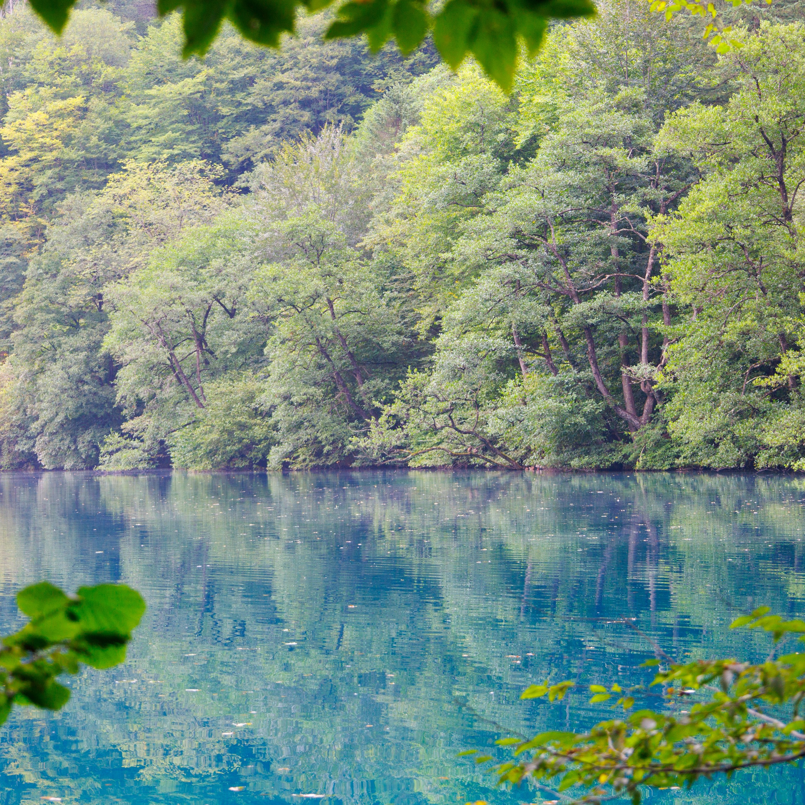 Обсерватория Шаджатмаз ★ Персеиды 11 — 13 августа 2023. Фотограф katya_vkadre Таганрог