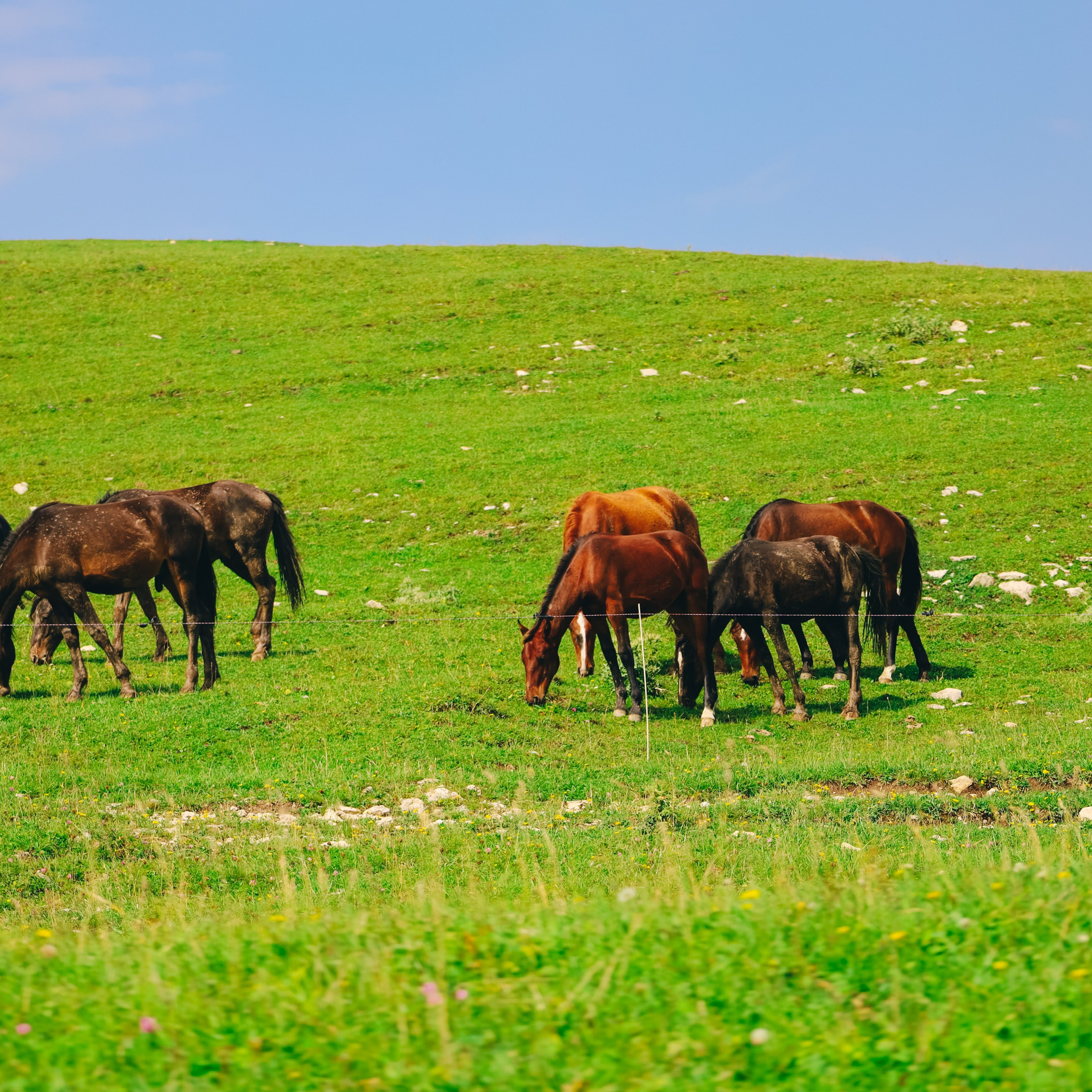 Обсерватория Шаджатмаз ★ Персеиды 11 — 13 августа 2023. Фотограф katya_vkadre Таганрог