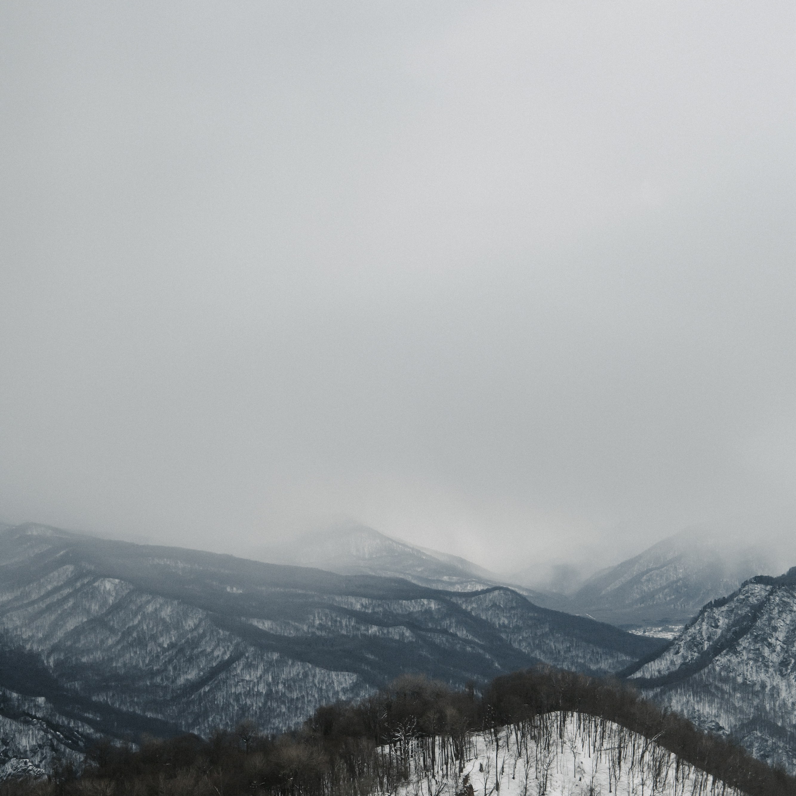 Адыгея. Лаго-Наки 27.01.24. Фотограф katya_vkadre Таганрог