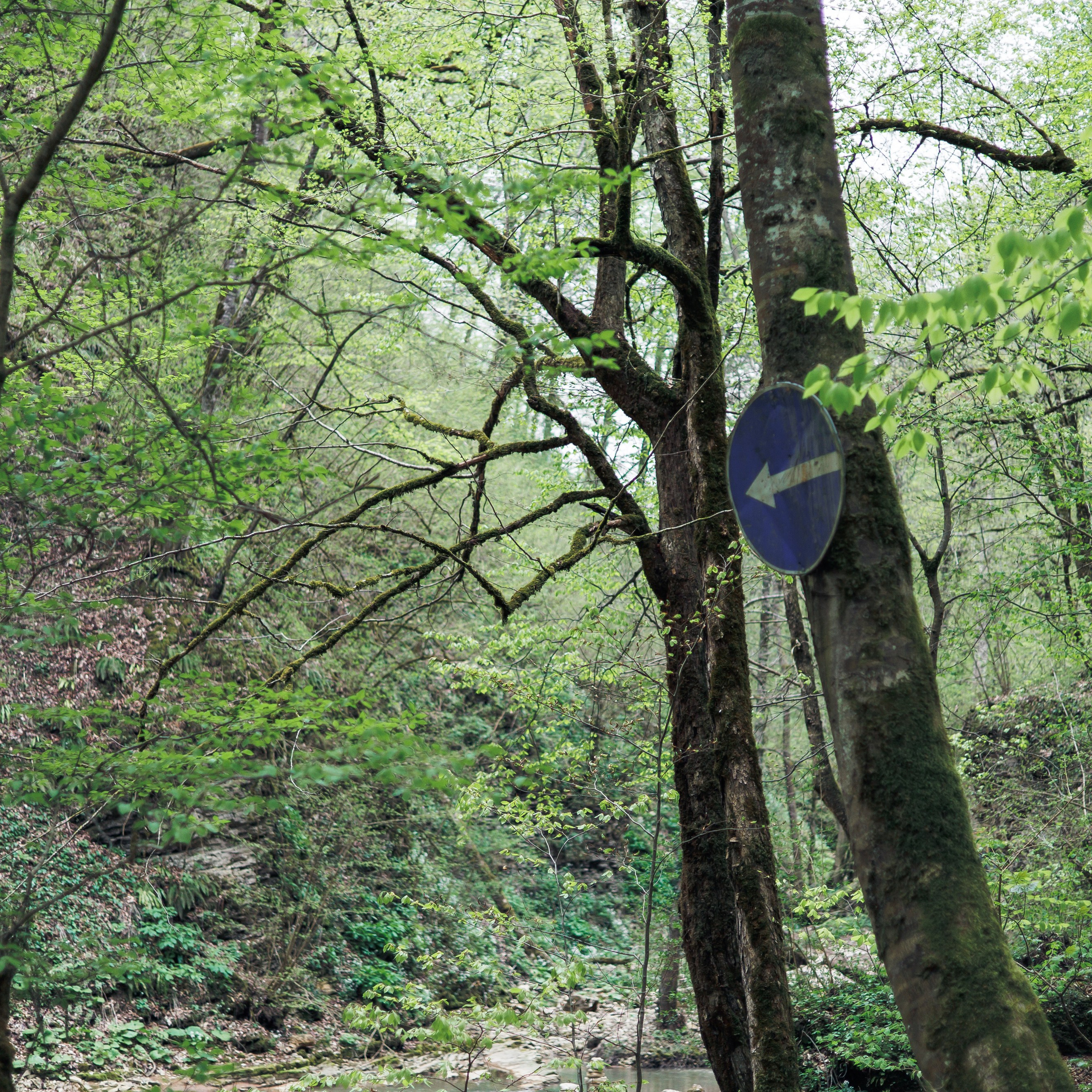 Адыгея. Водопады Руфабго 13.04.24. Фотограф katya_vkadre Таганрог