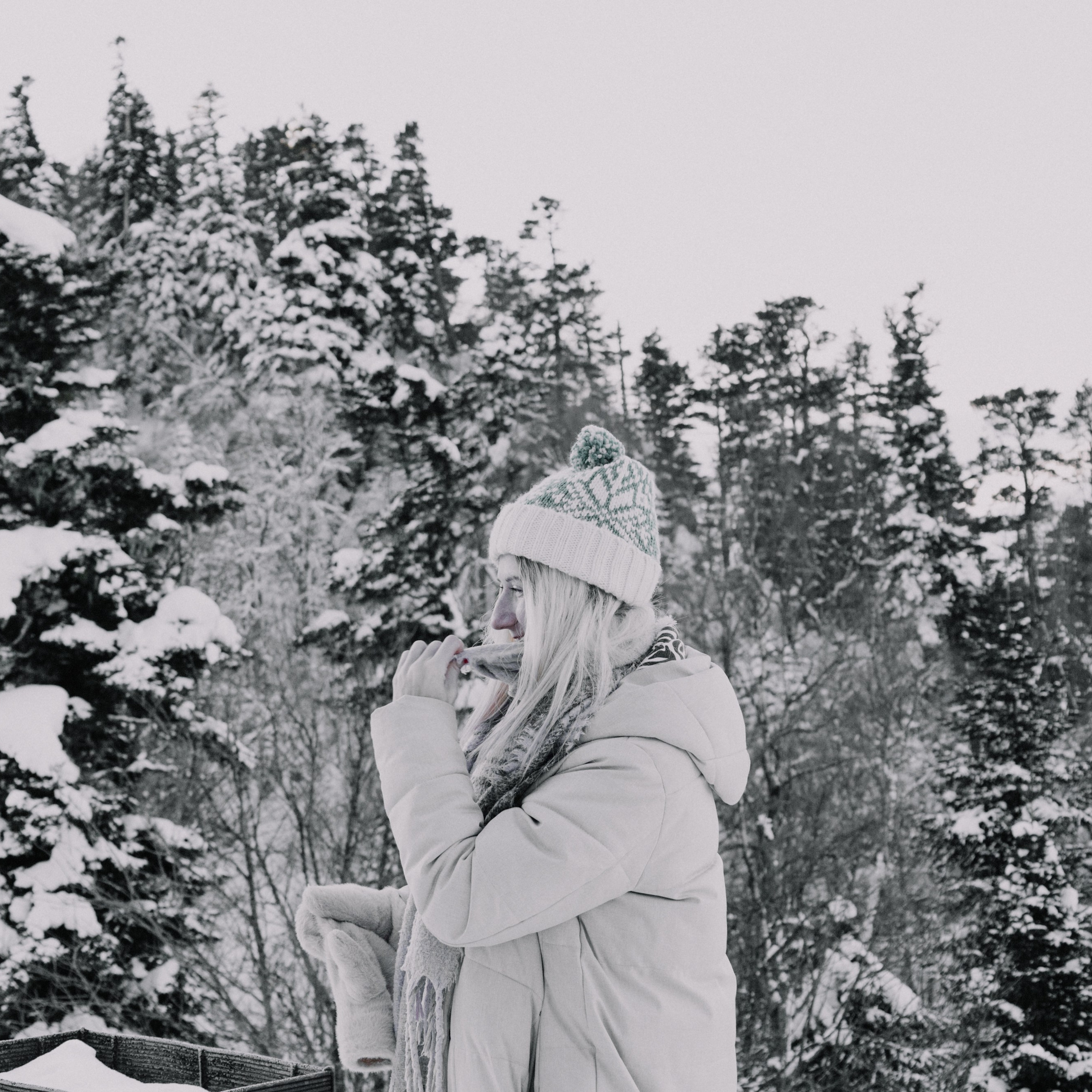 Адыгея. Лаго-Наки 27.01.24. Фотограф katya_vkadre Таганрог