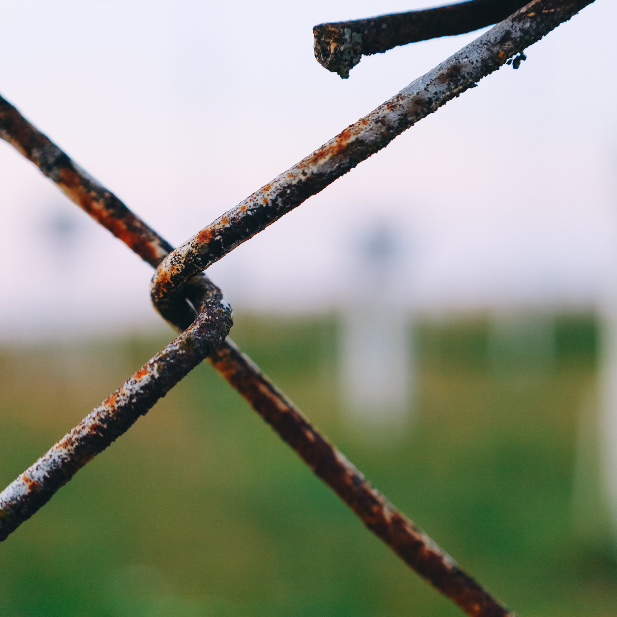 Обсерватория Шаджатмаз ★ Персеиды 11 — 13 августа 2023. Фотограф katya_vkadre Таганрог