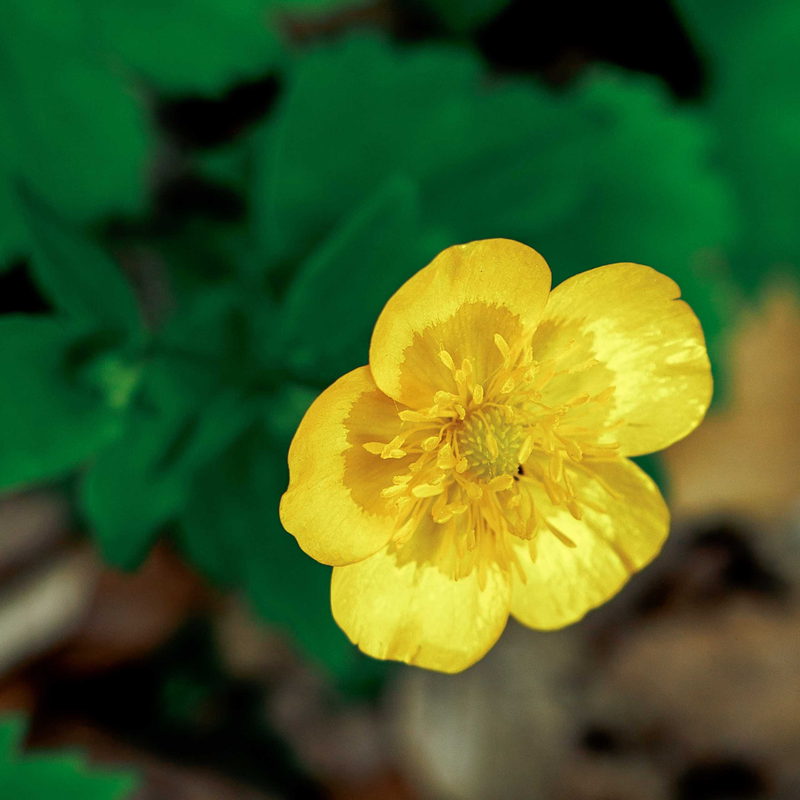 Адыгея. Водопады Руфабго 13.04.24. Фотограф katya_vkadre Таганрог