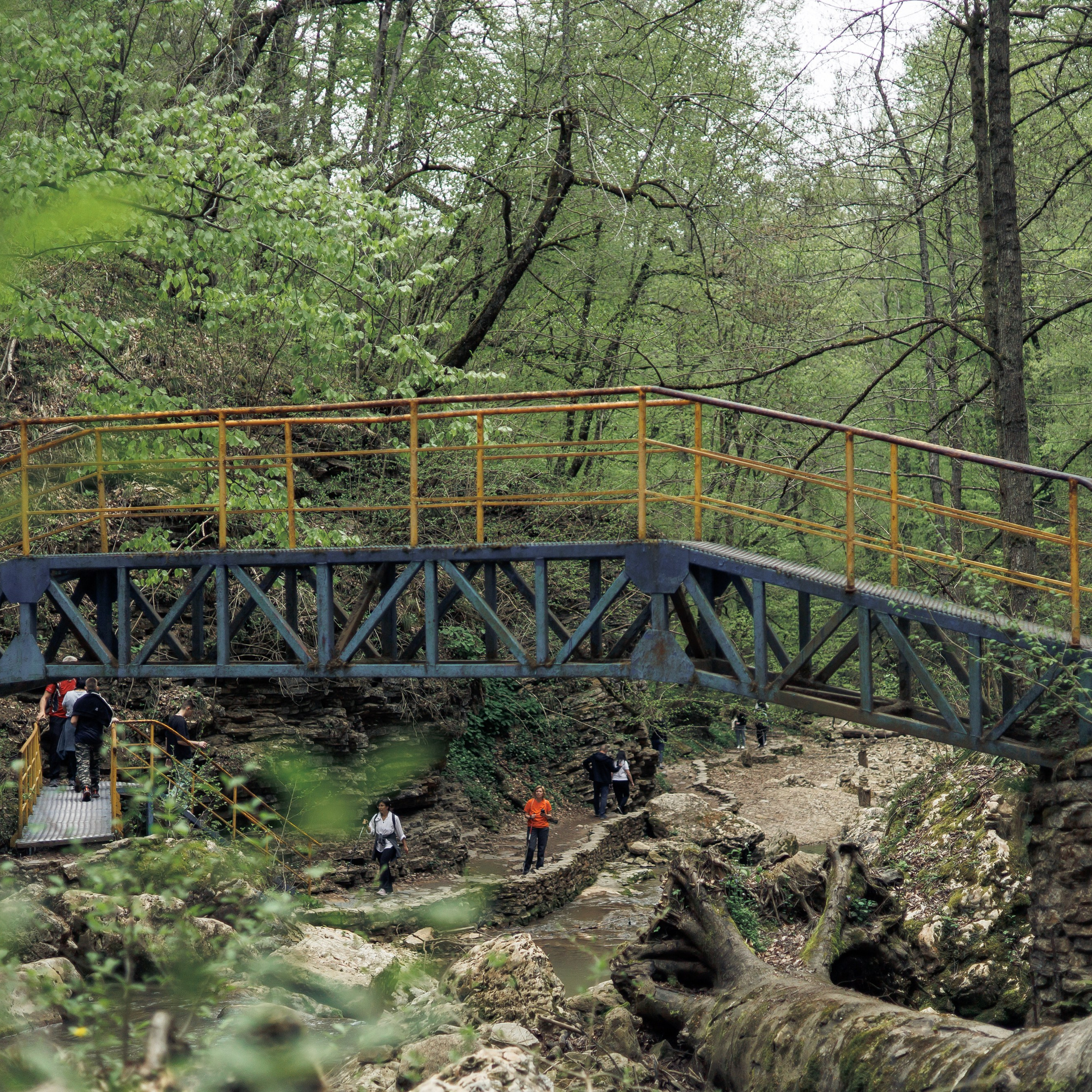 Адыгея. Водопады Руфабго 13.04.24. Фотограф katya_vkadre Таганрог